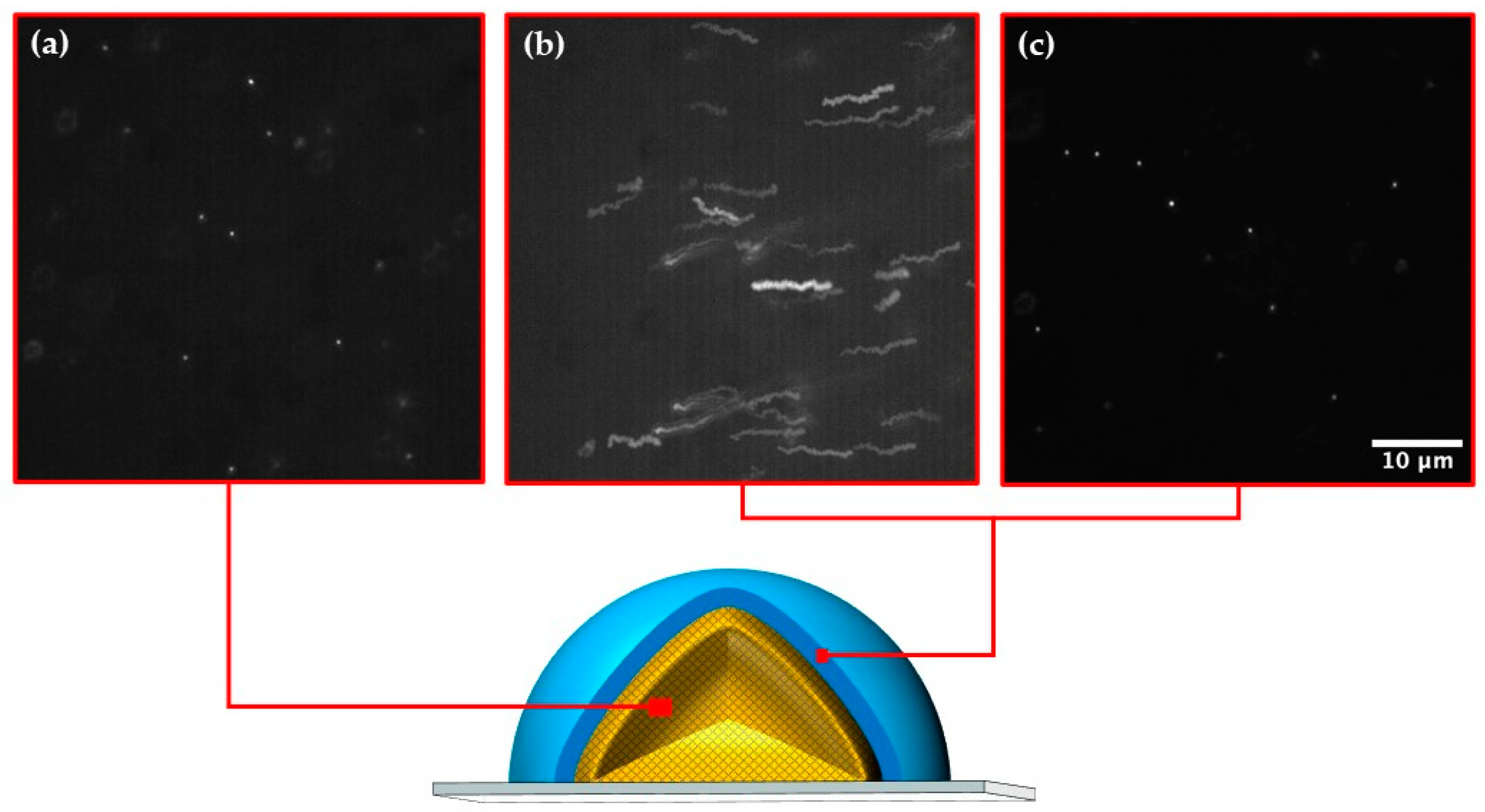 Molecules 27 04013 g004 Molecules 27 04013 g004