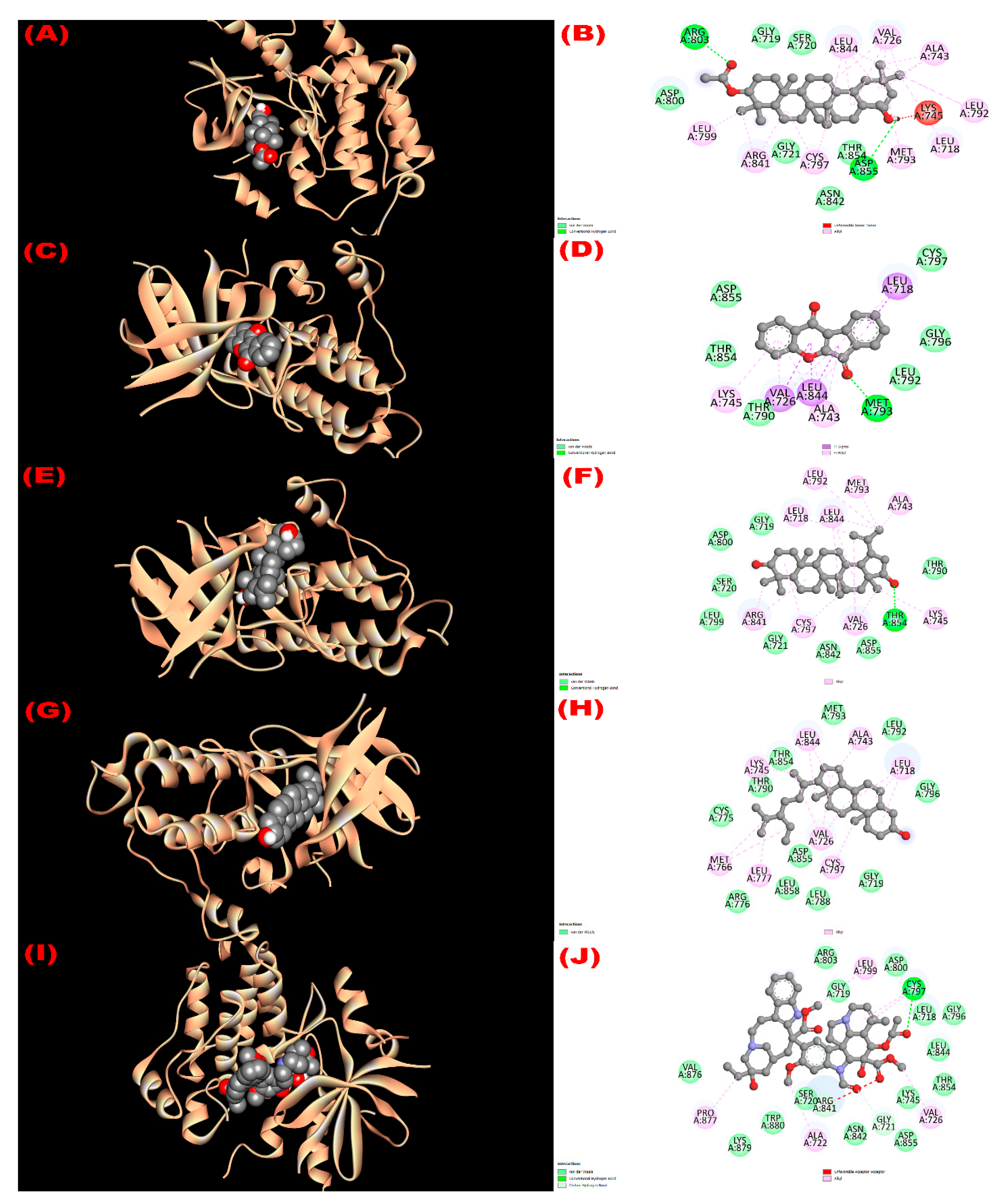 Molecules 27 04024 g003