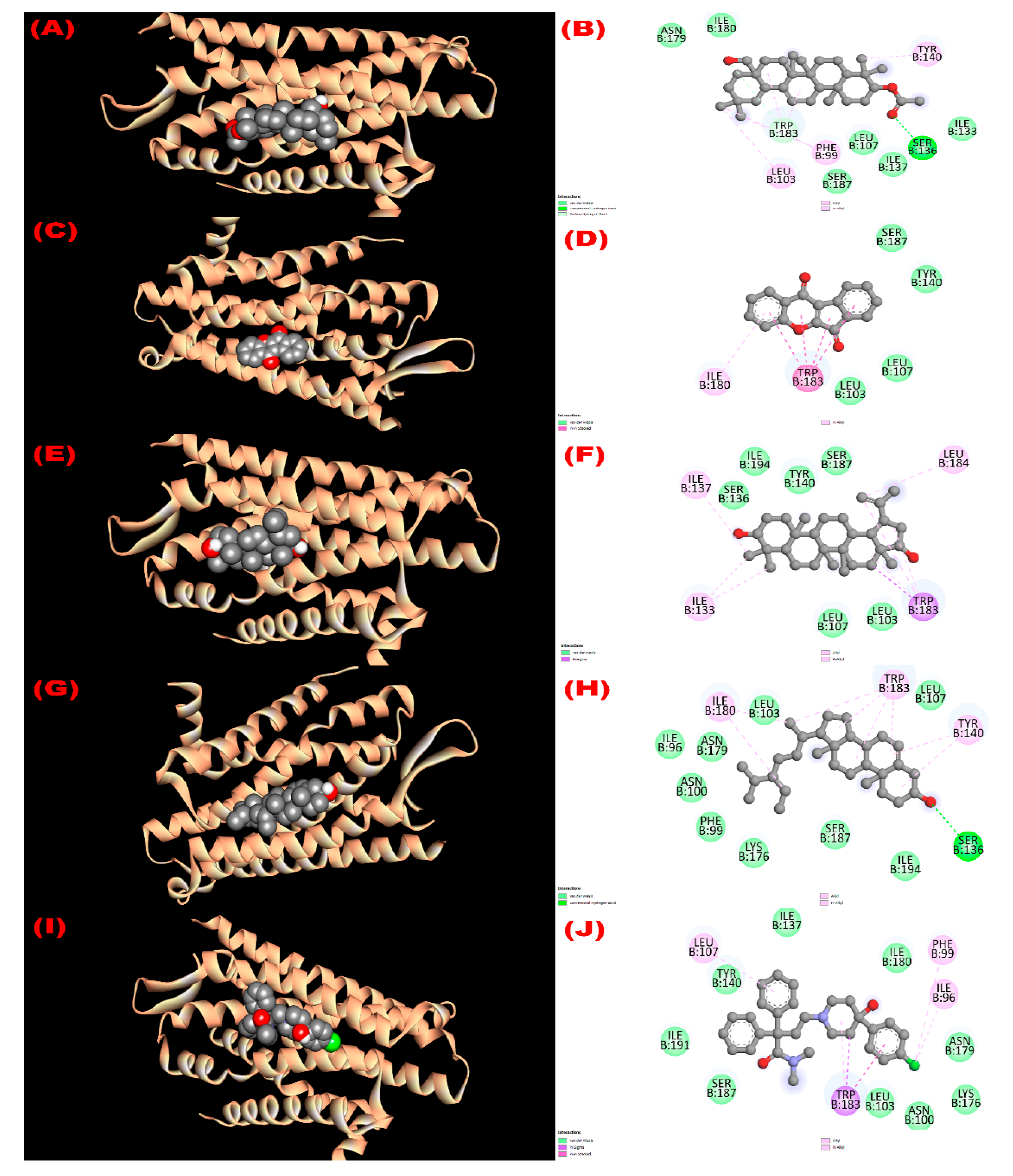 Molecules 27 04024 g004