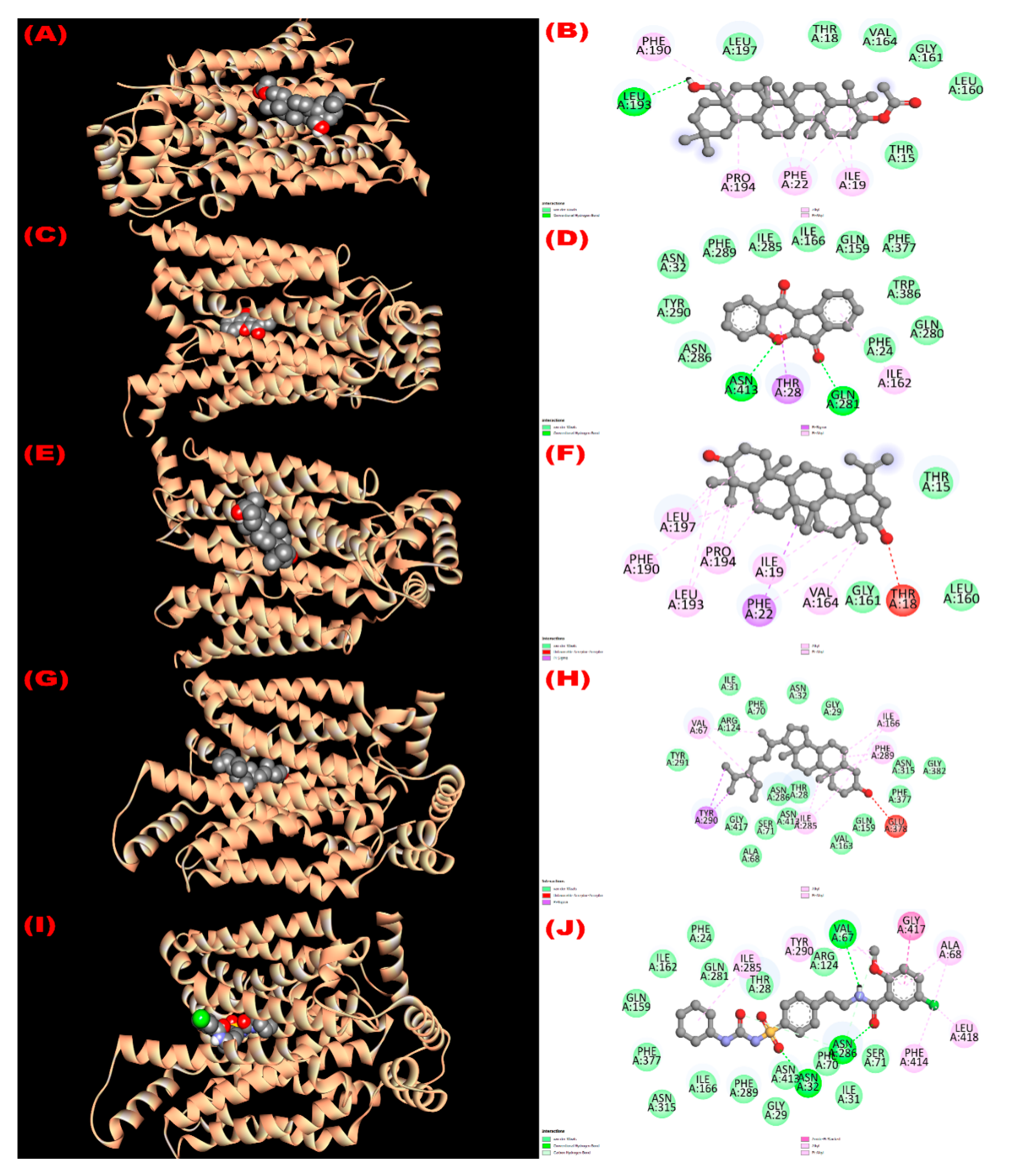 Molecules 27 04024 g005