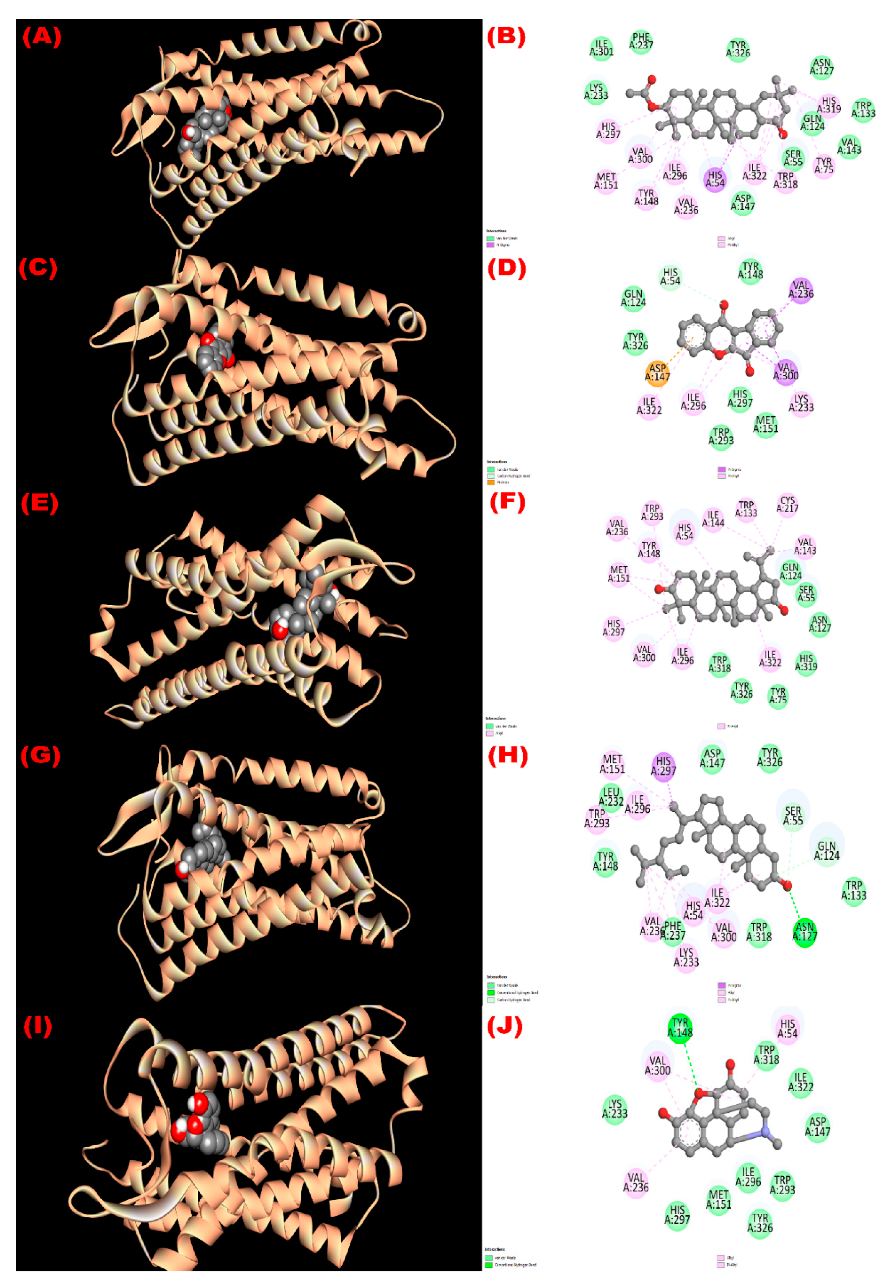 Molecules 27 04024 g006