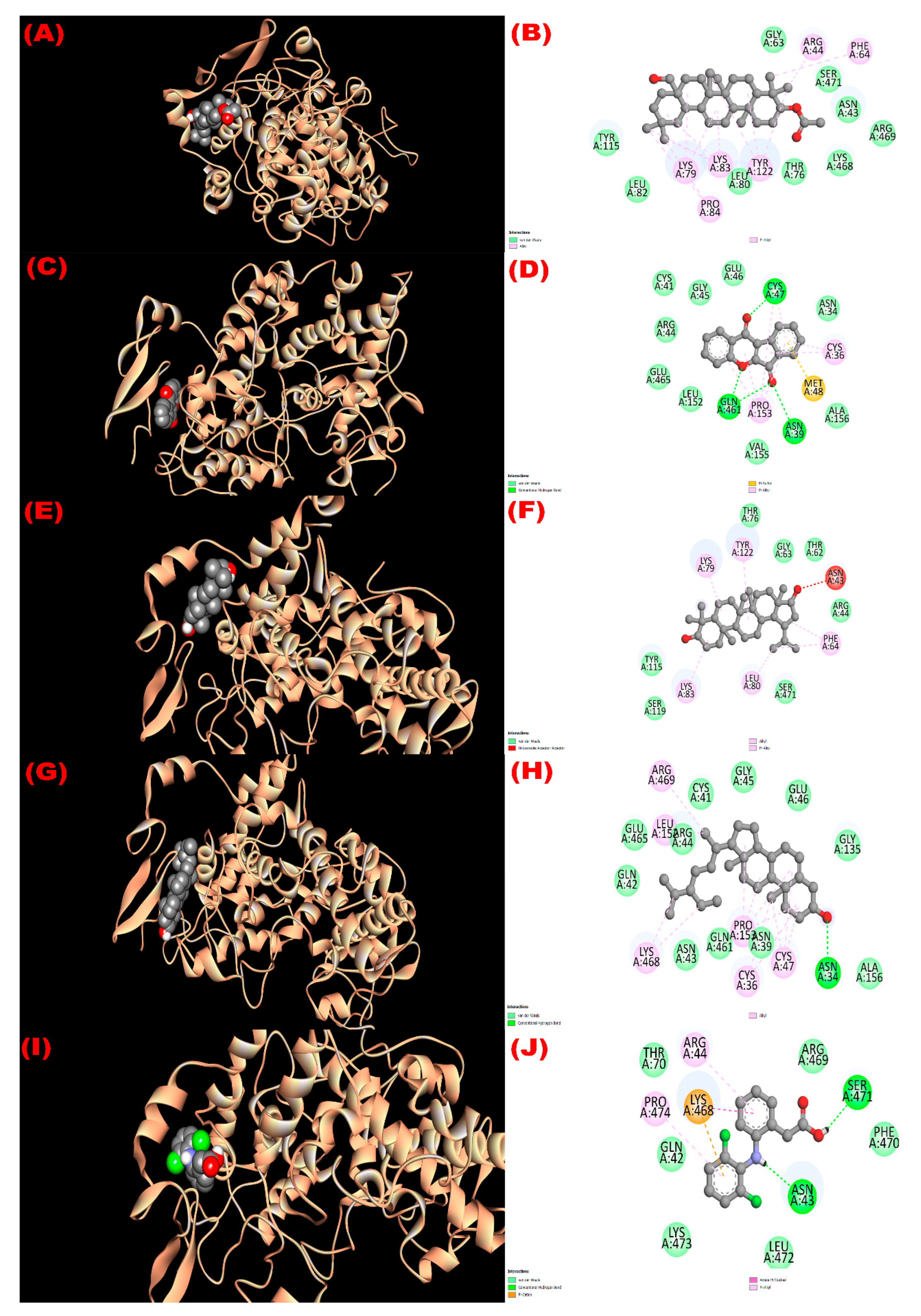 Molecules 27 04024 g007