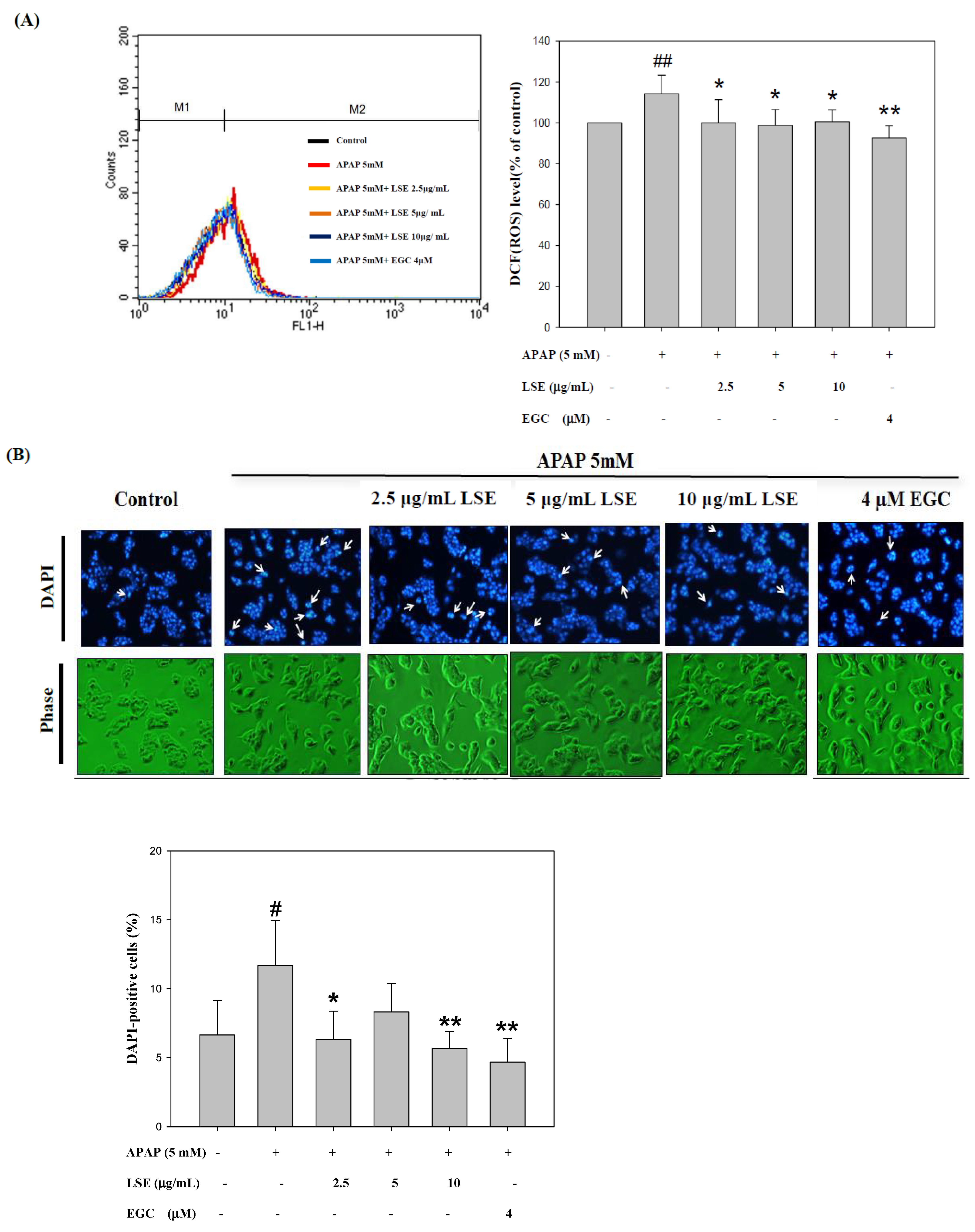 Molecules 27 04030 g002a