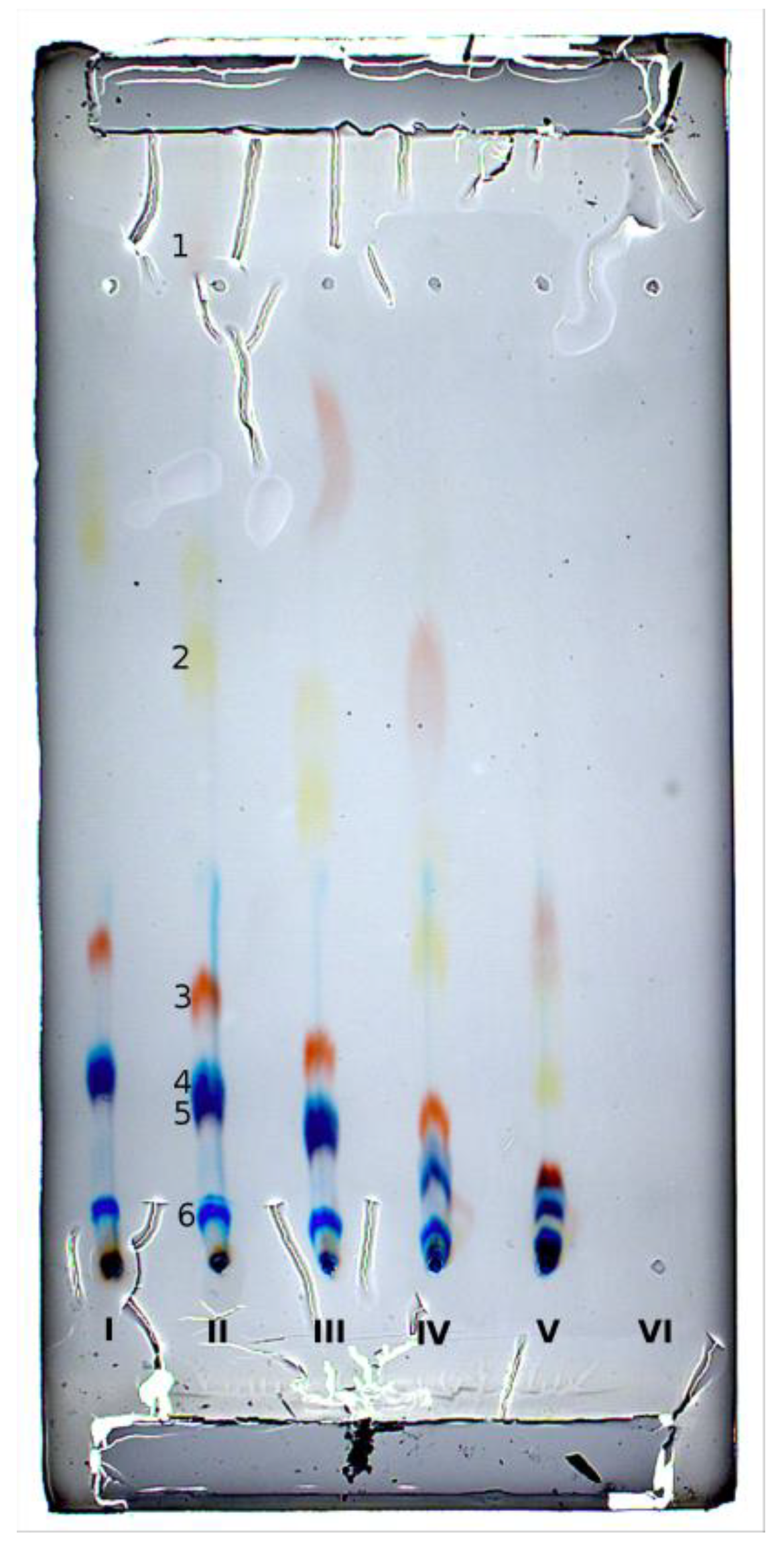 Molecules 27 04032 g004