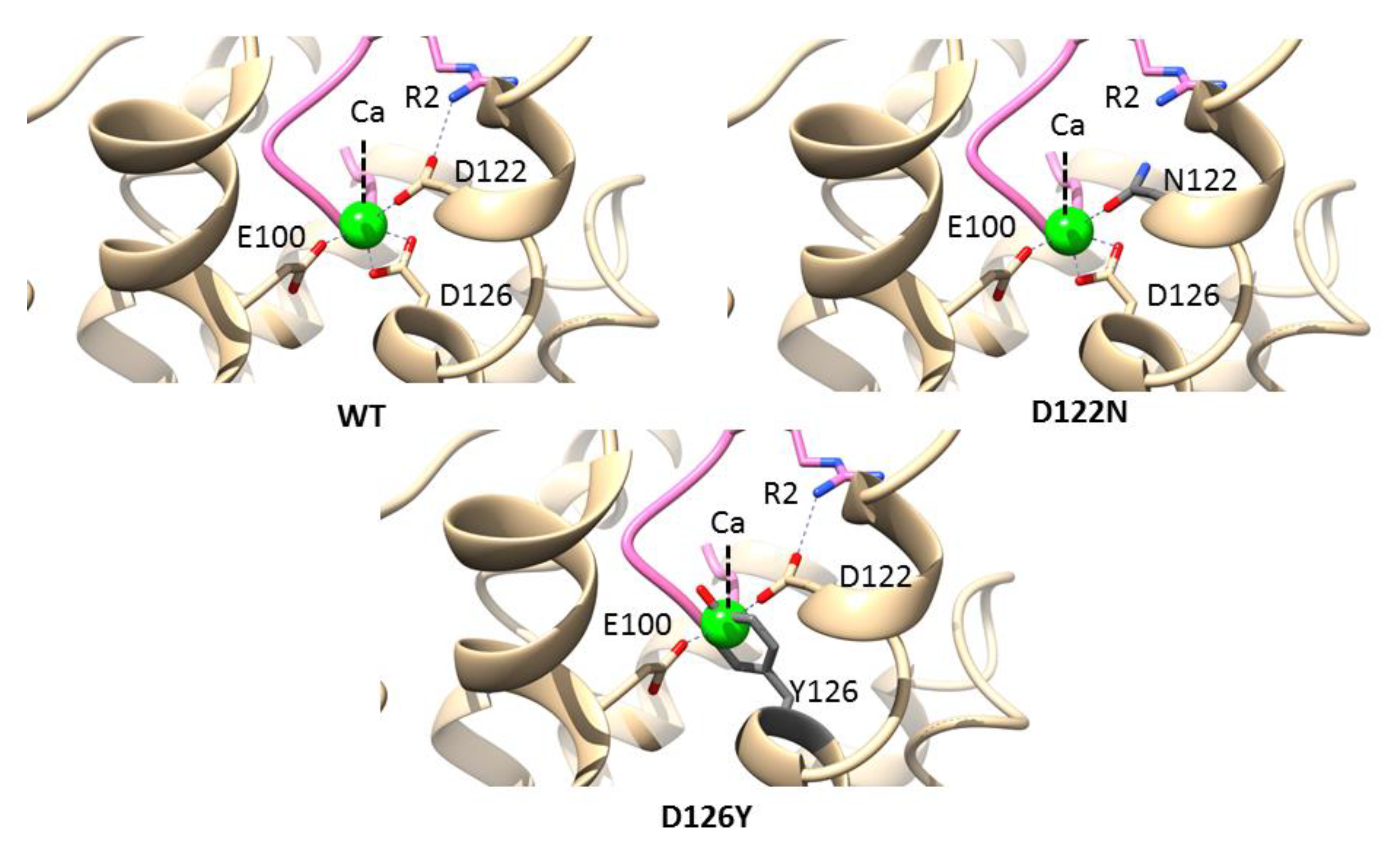 Molecules 27 04037 g004
