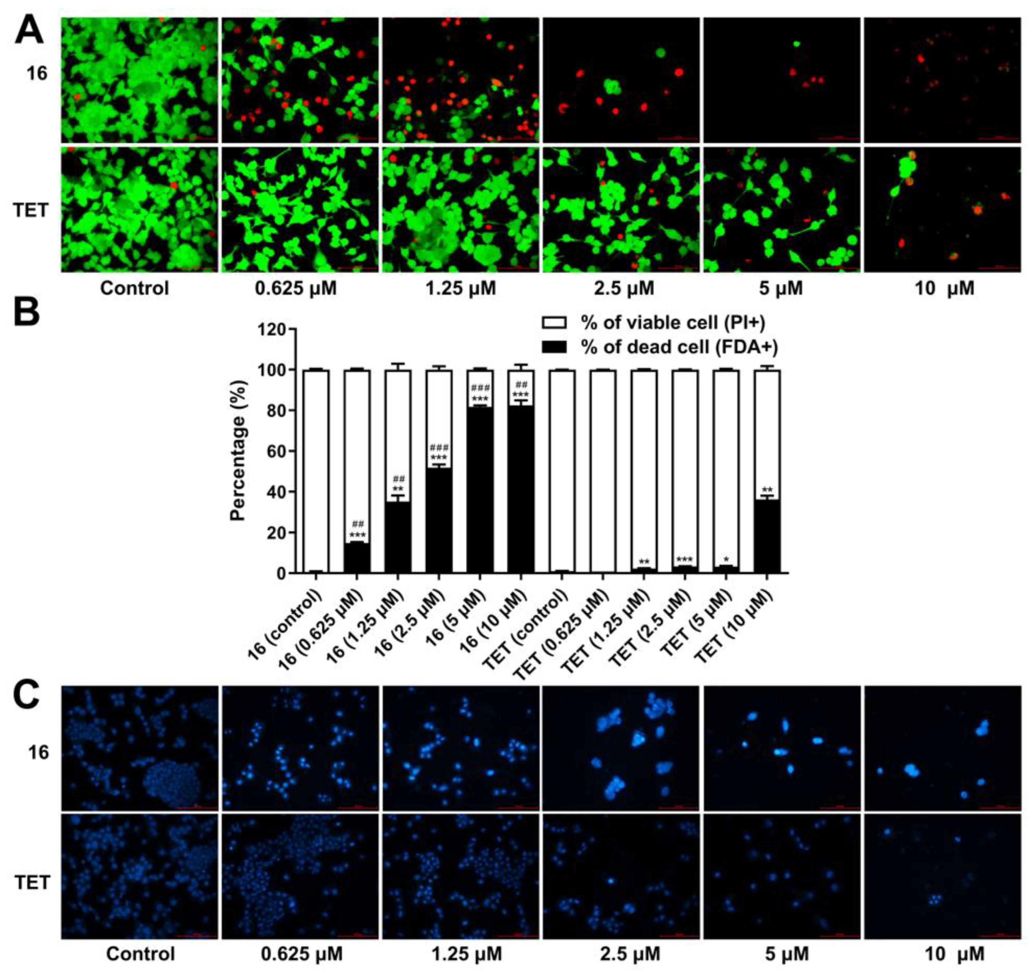 Molecules 27 04040 g007