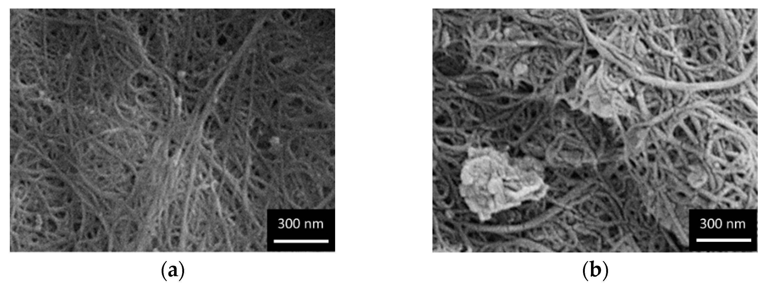 Molecules 27 04044 g002a
