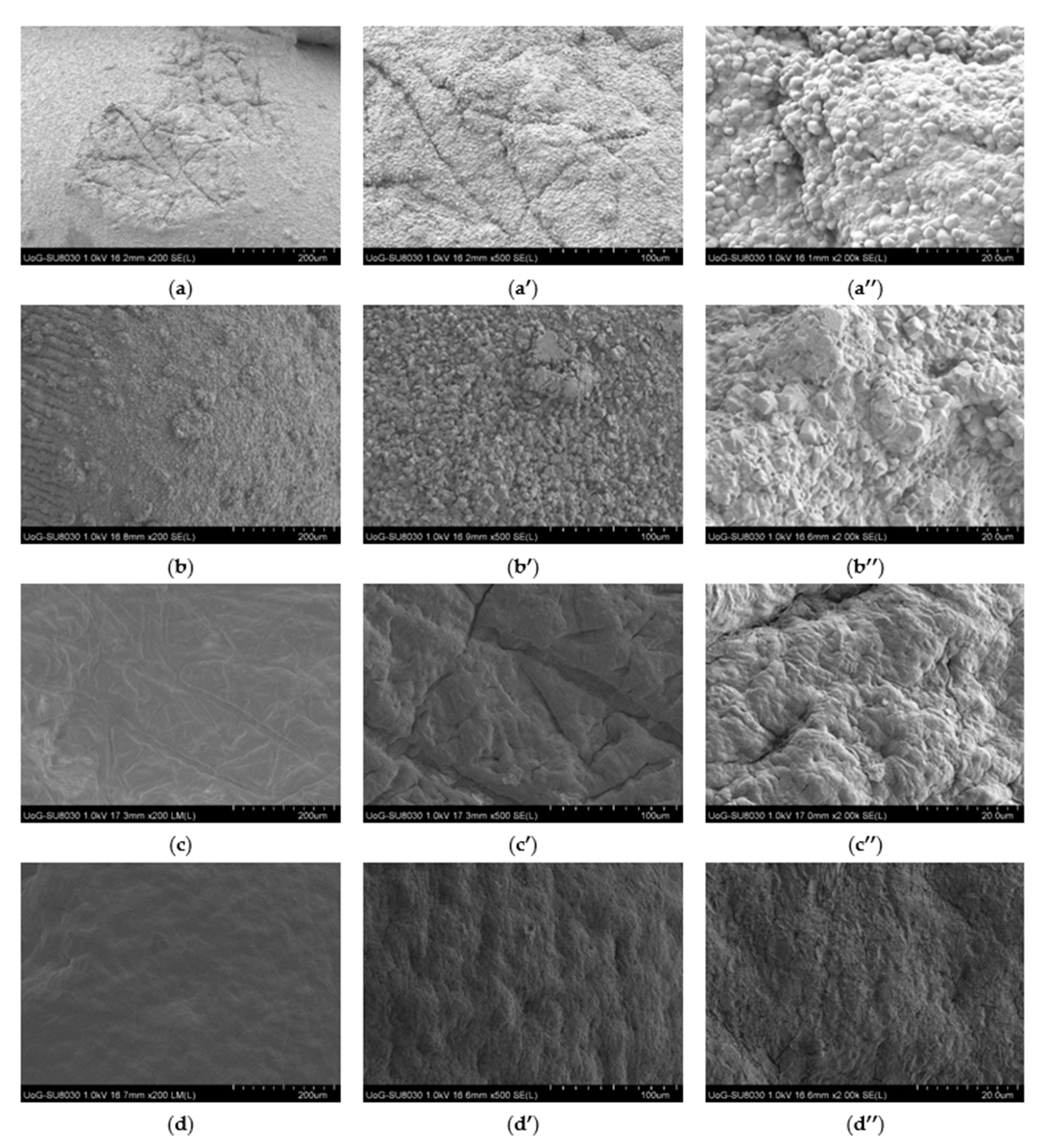 Molecules 27 04045 g006
