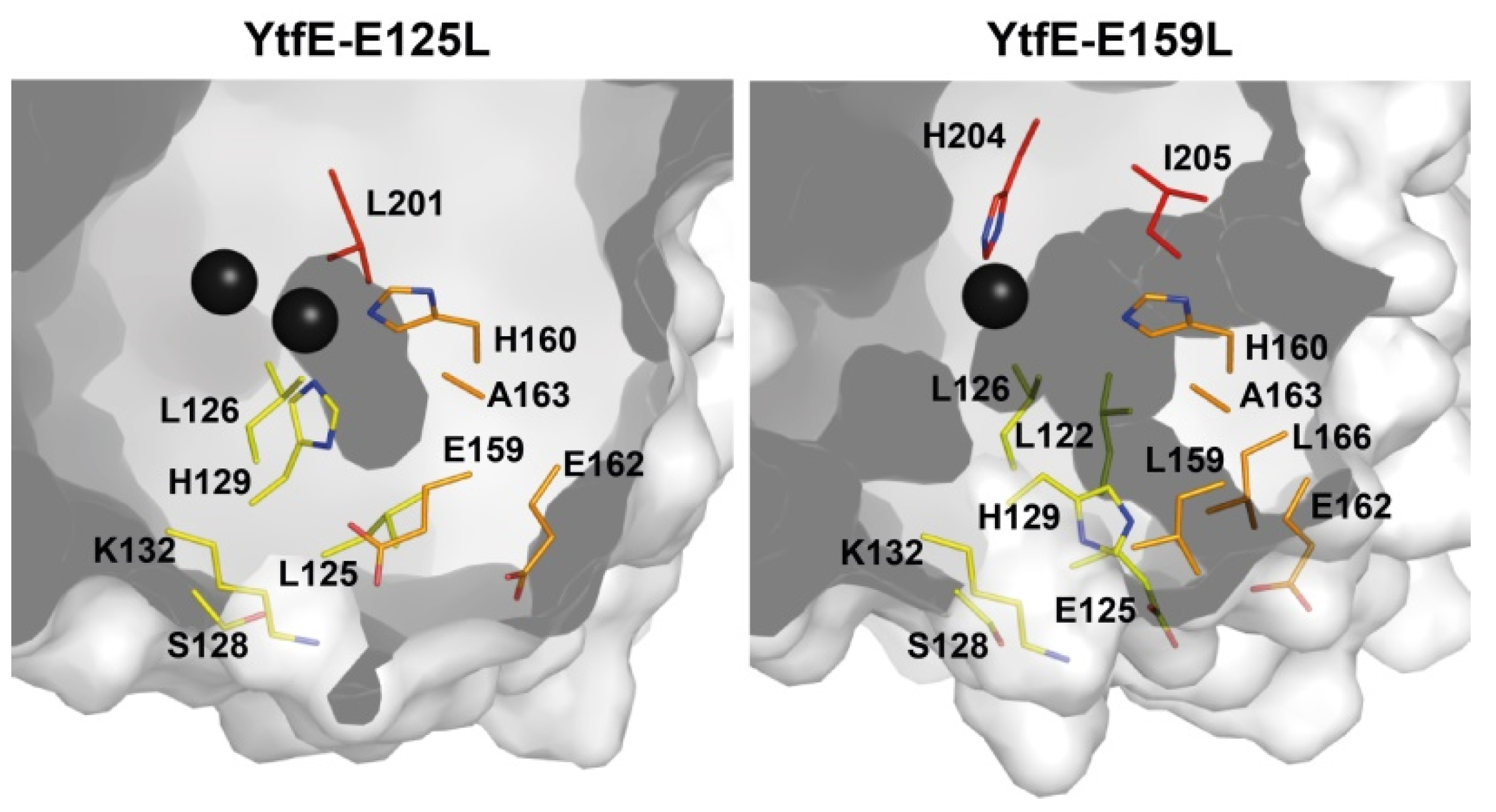Molecules 27 04051 g004 Molecules 27 04051 g004