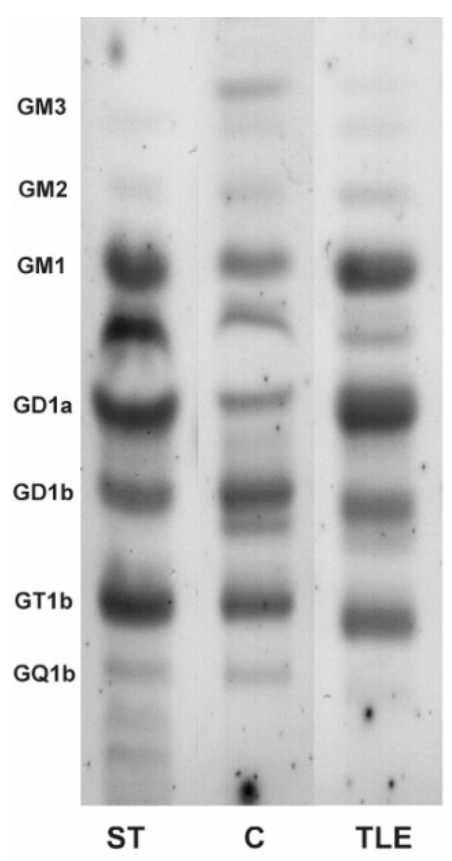 Molecules 27 04056 g001