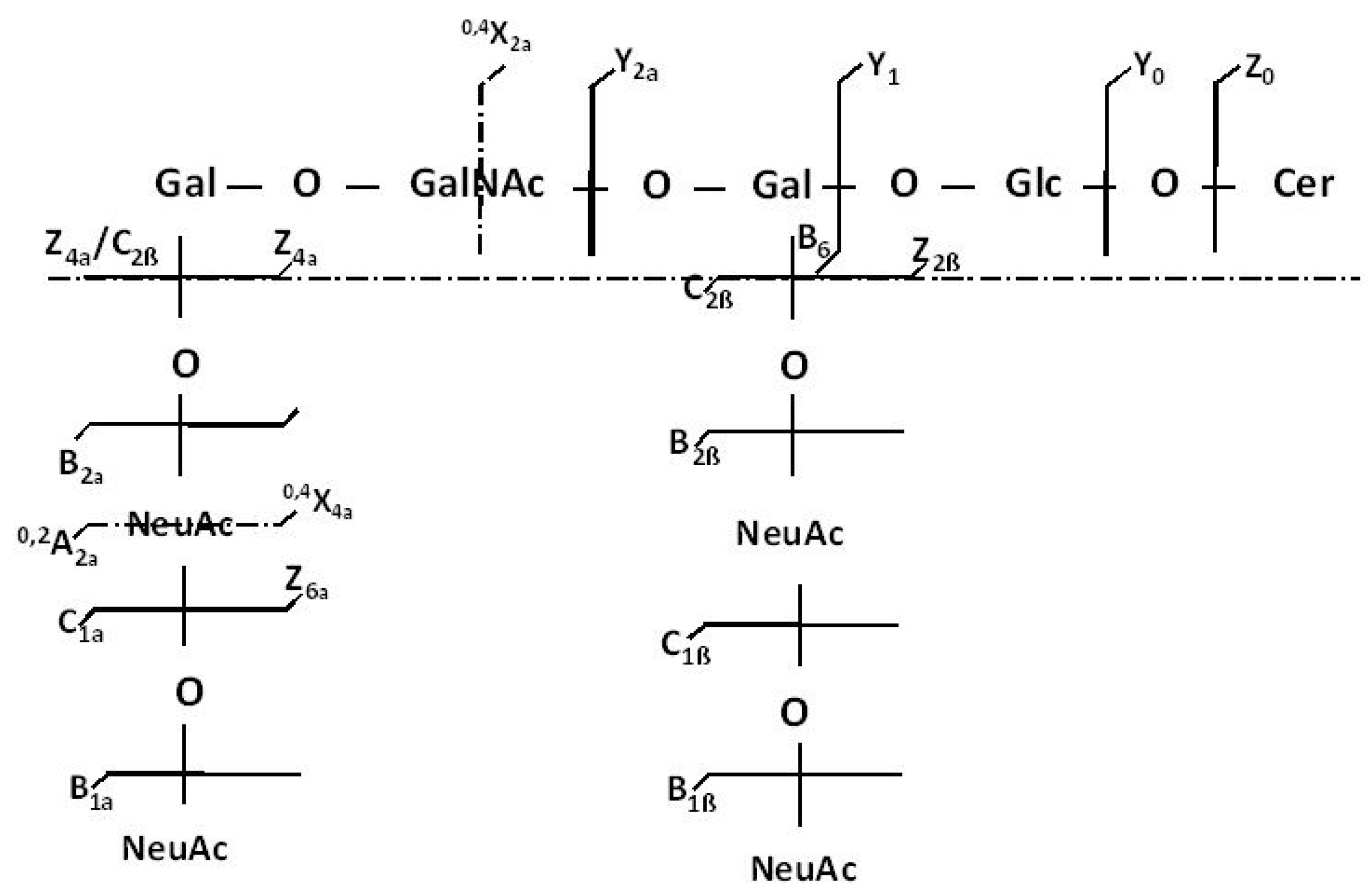 Molecules 27 04056 g006