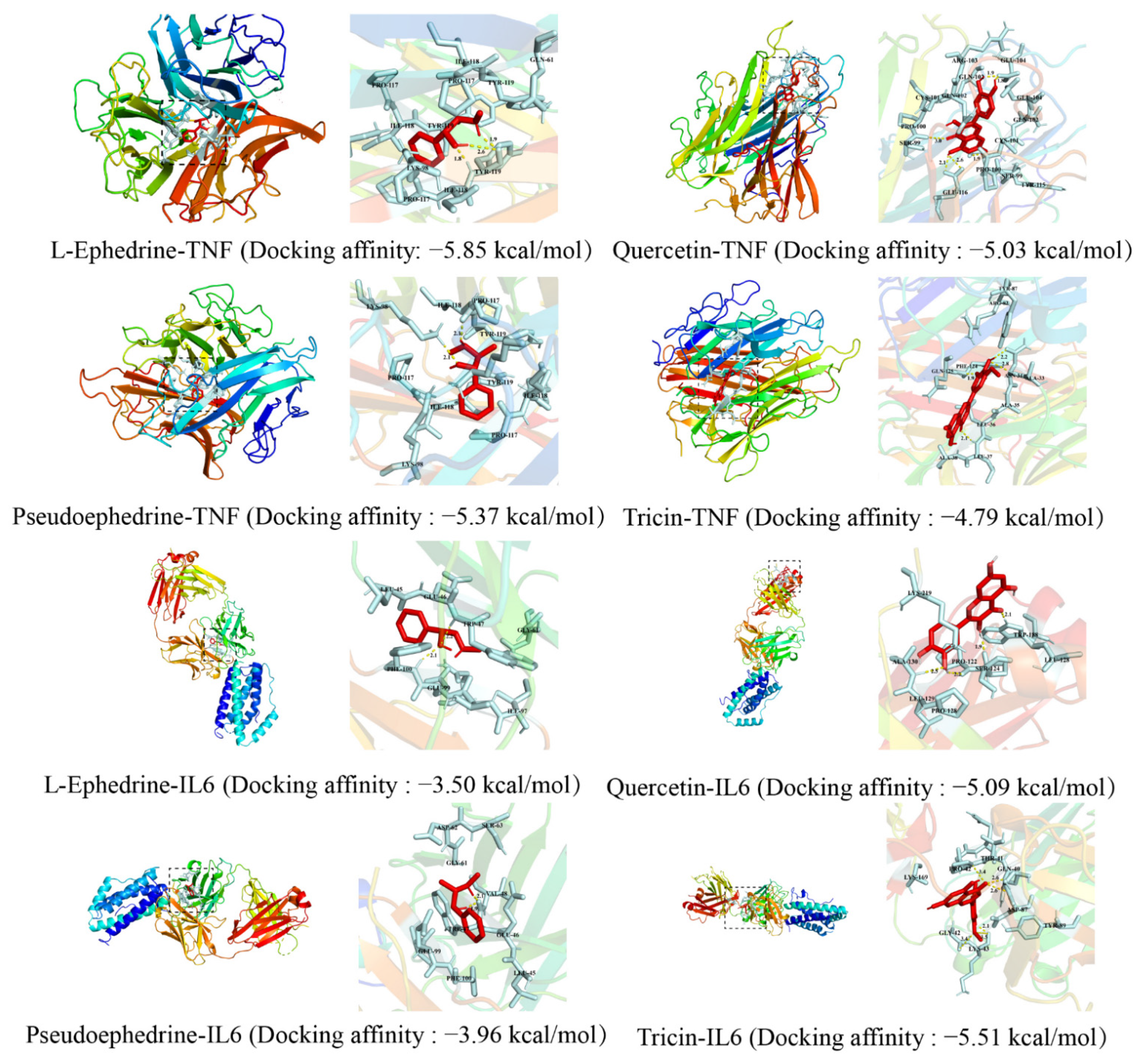 Molecules 27 04057 g005