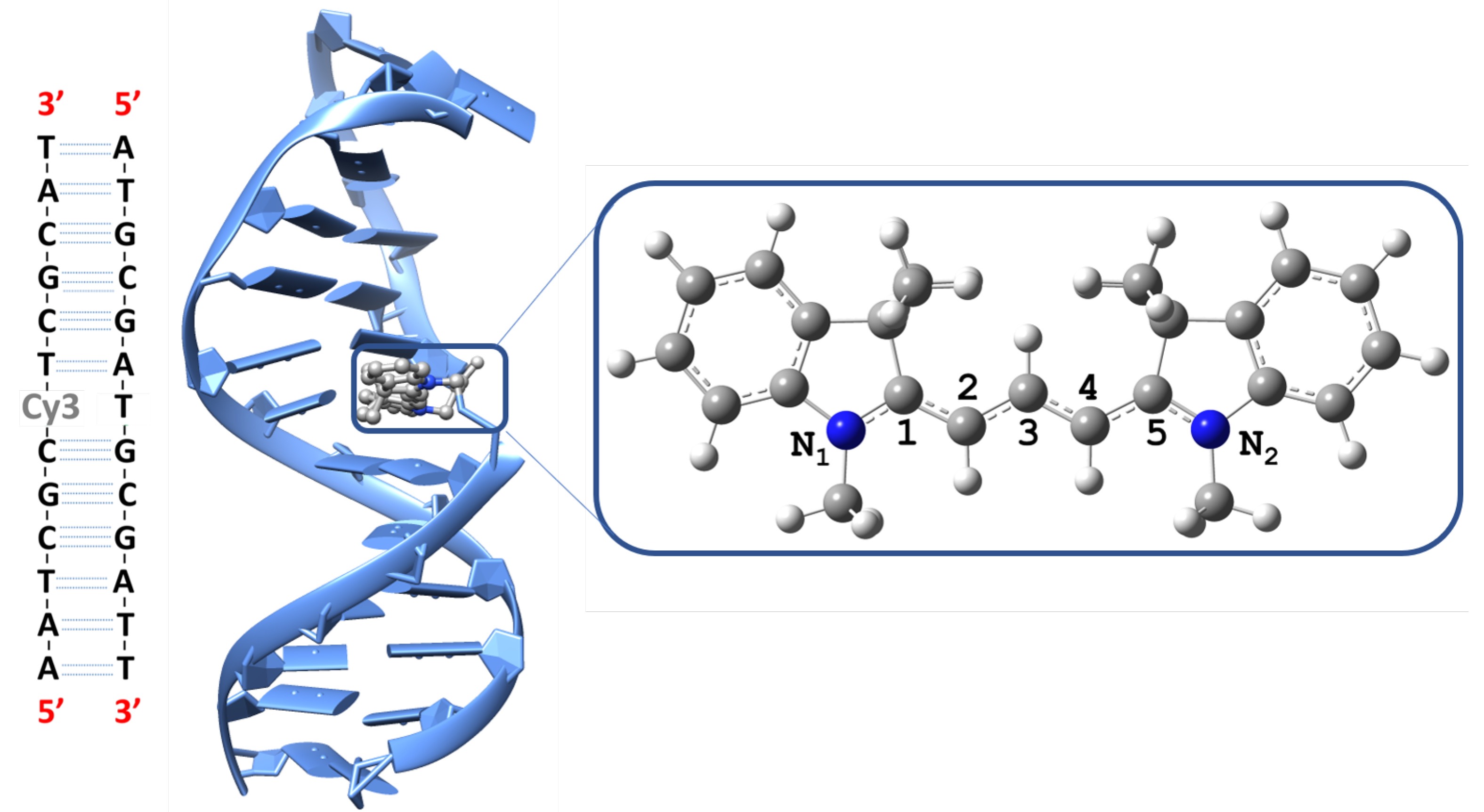 Molecules 27 04062 g001