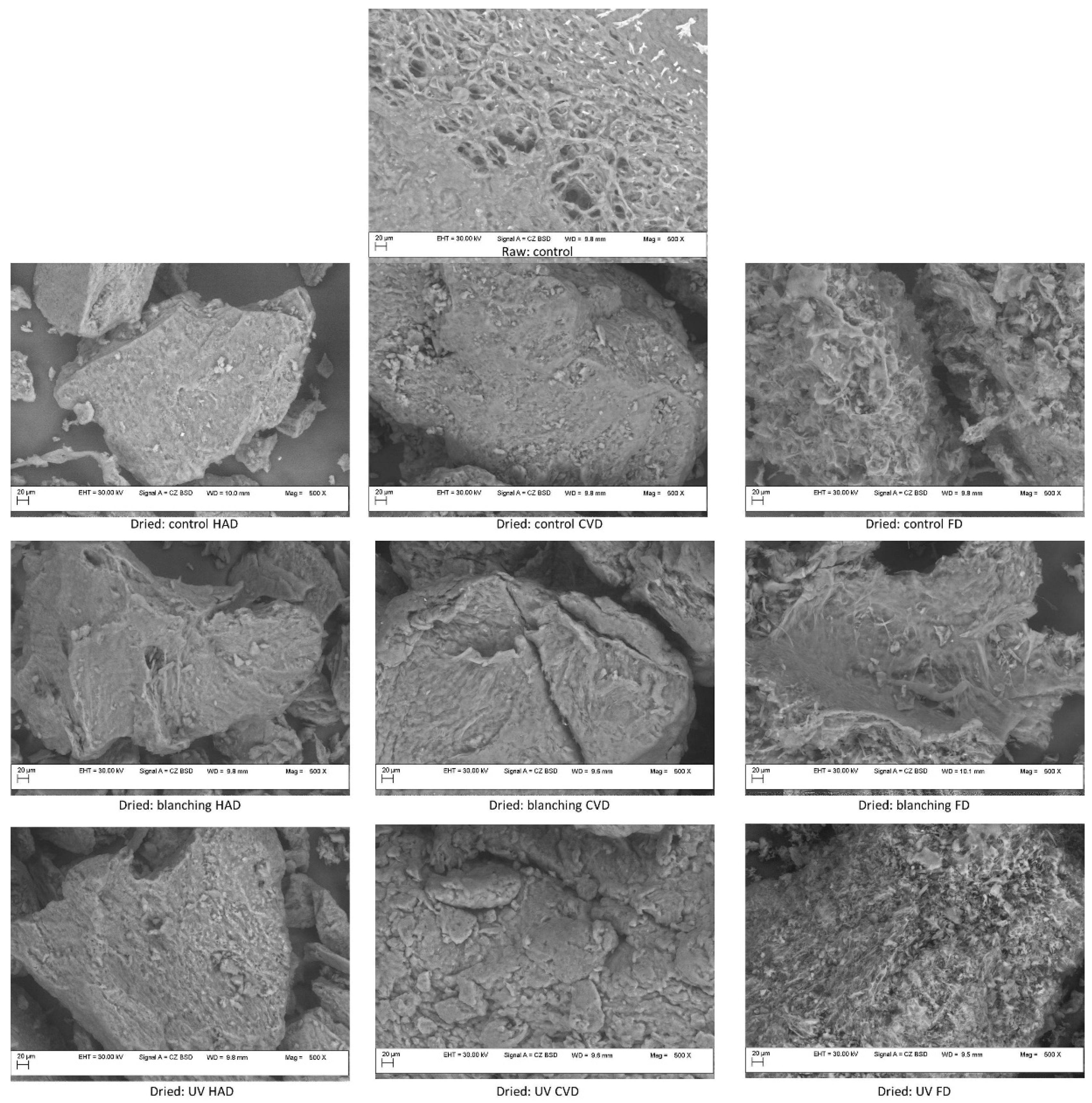 Molecules 27 04063 g005 Molecules 27 04063 g005