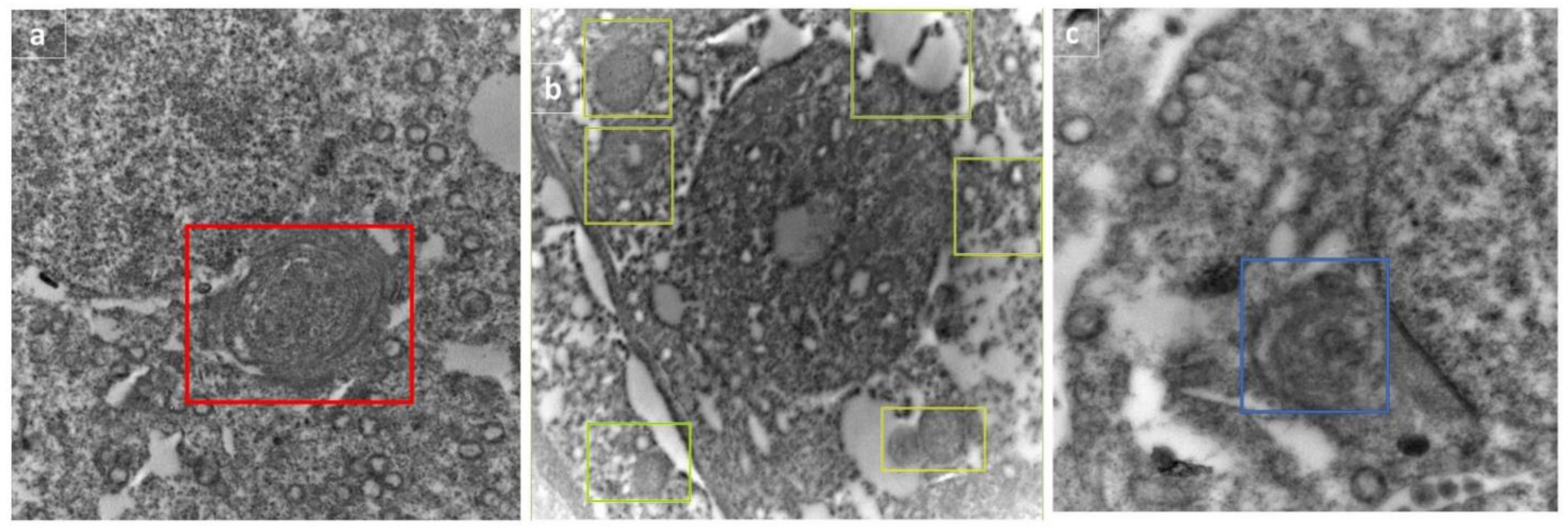 Molecules 27 04069 g011 550