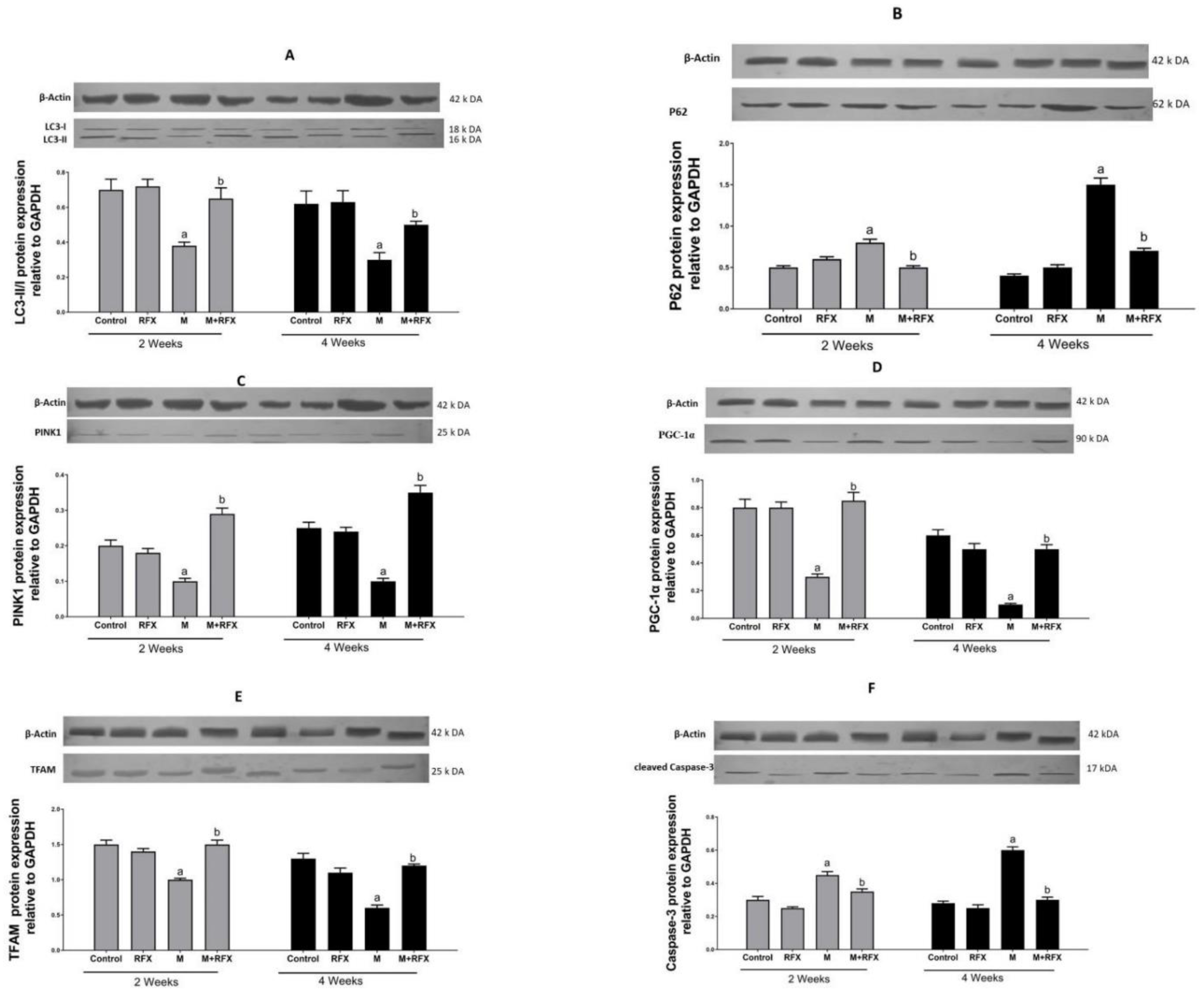 Molecules 27 04069 g013 550