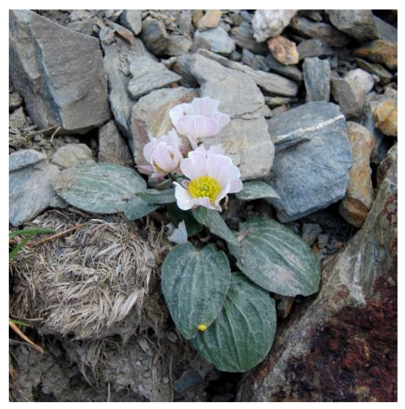 Molecules 27 04070 g001 Molecules 27 04070 g001