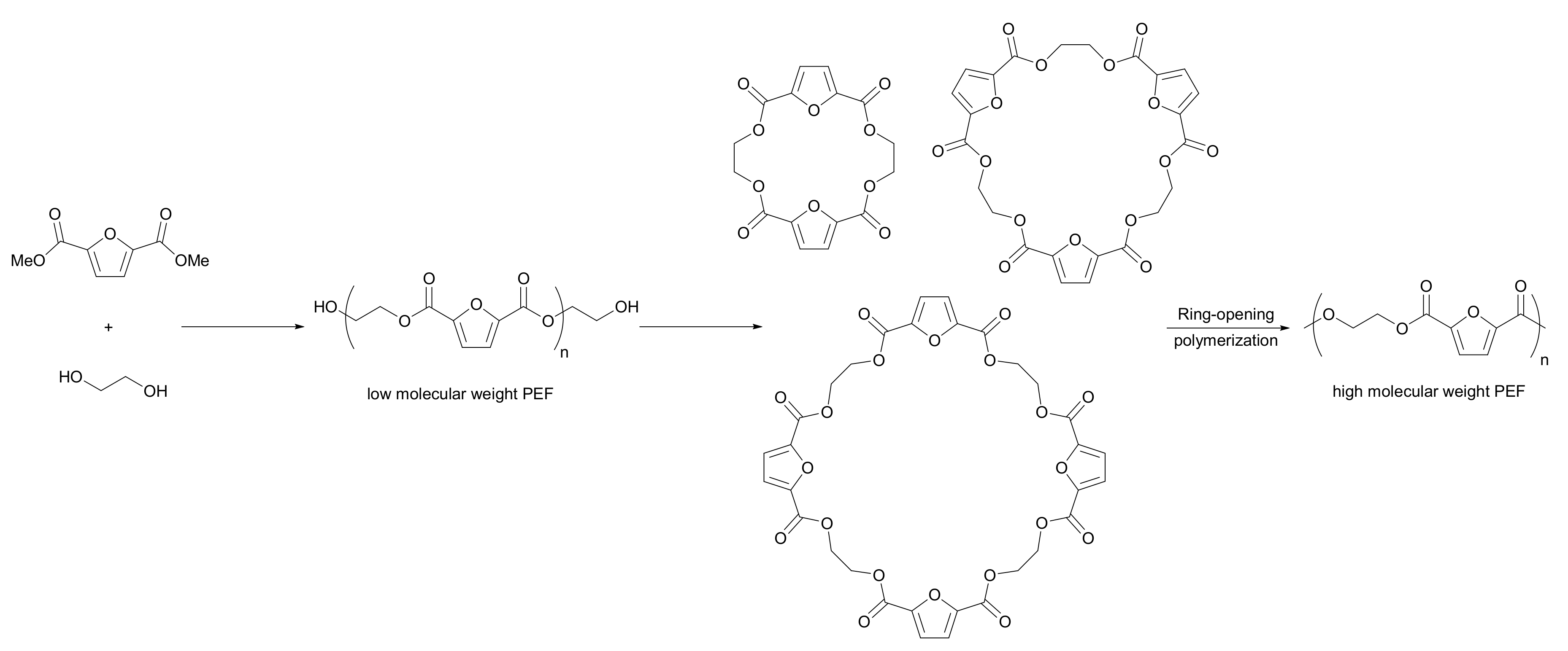 Molecules 27 04071 sch007 550