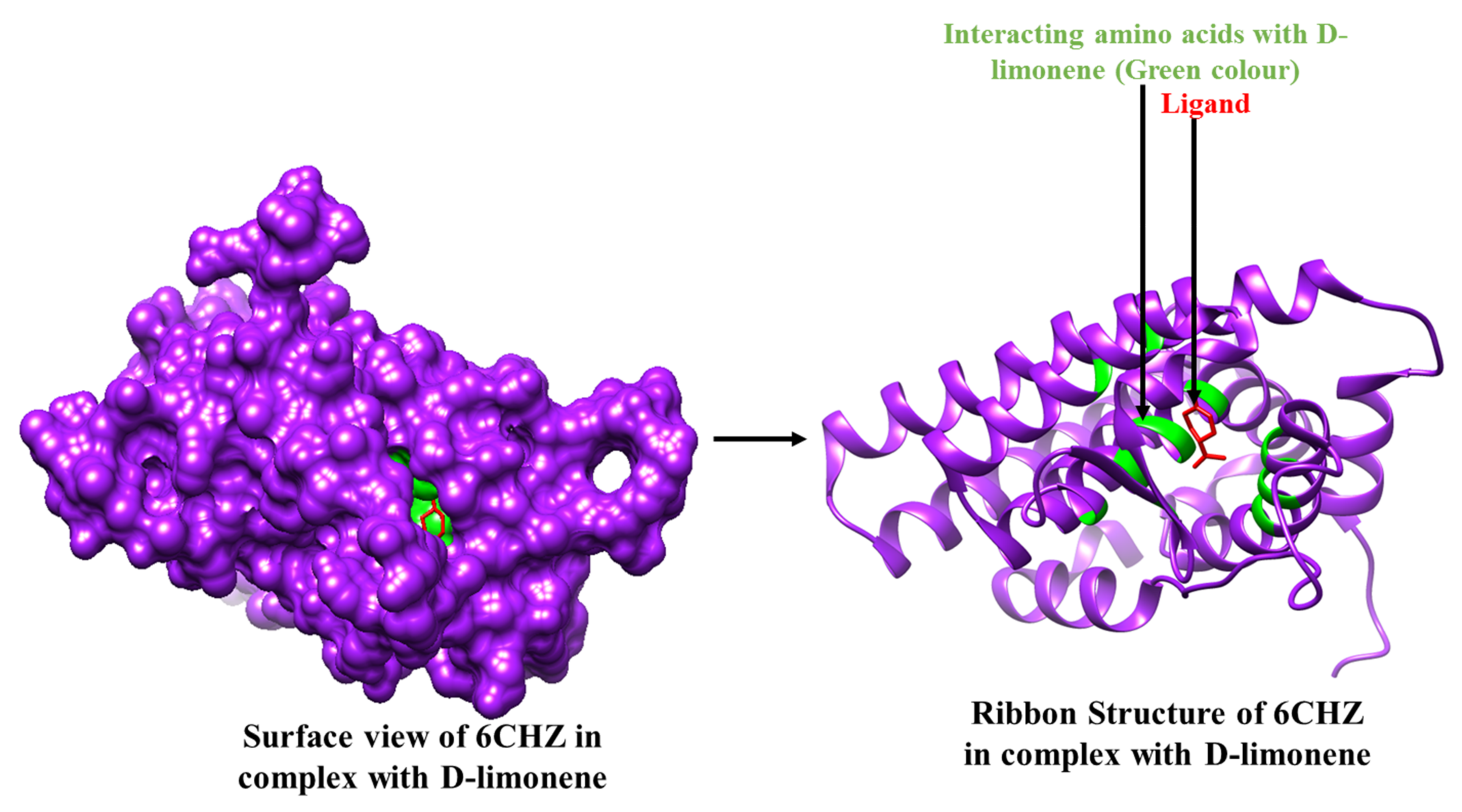 Molecules 27 04077 g002 550
