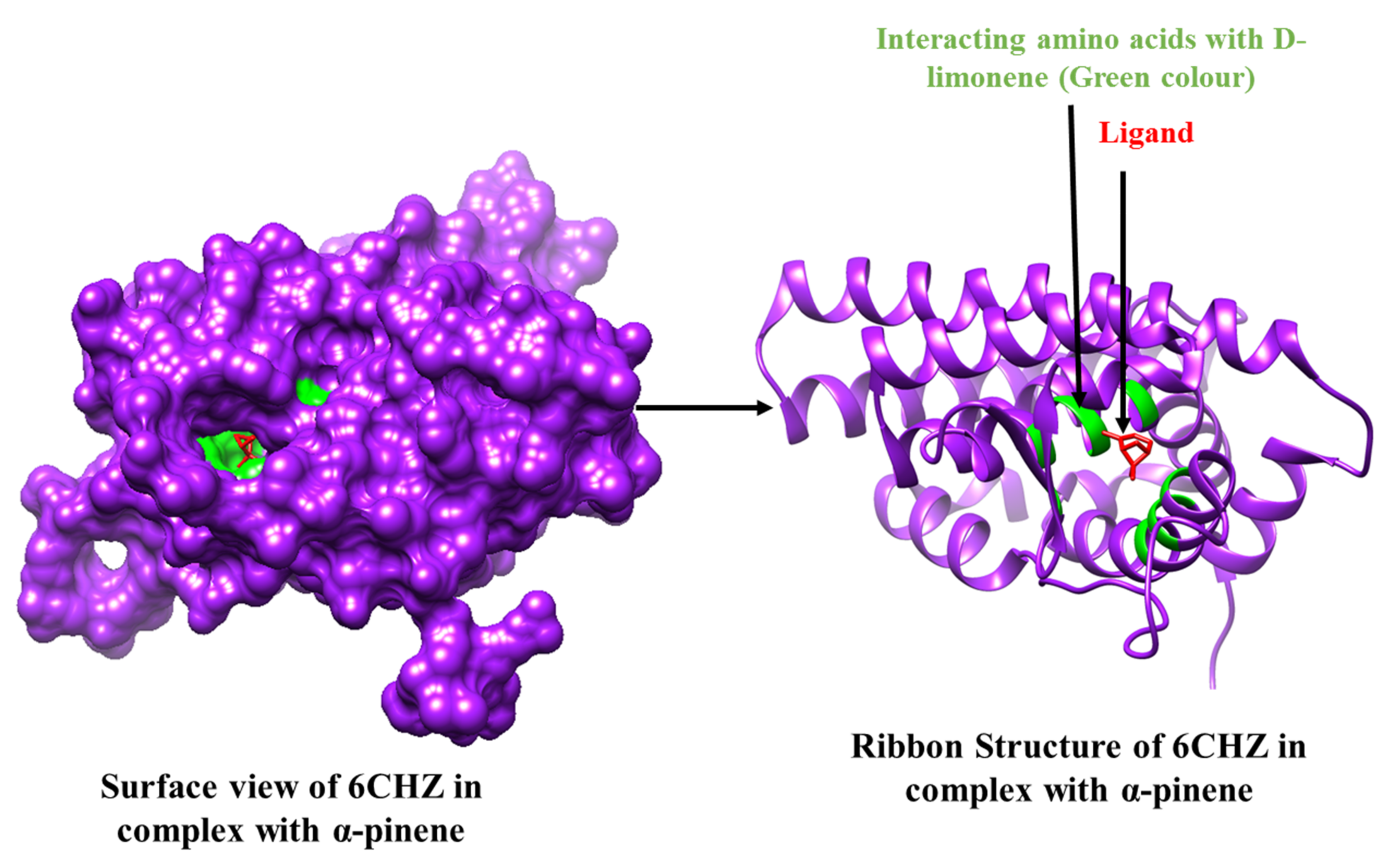 Molecules 27 04077 g003 550