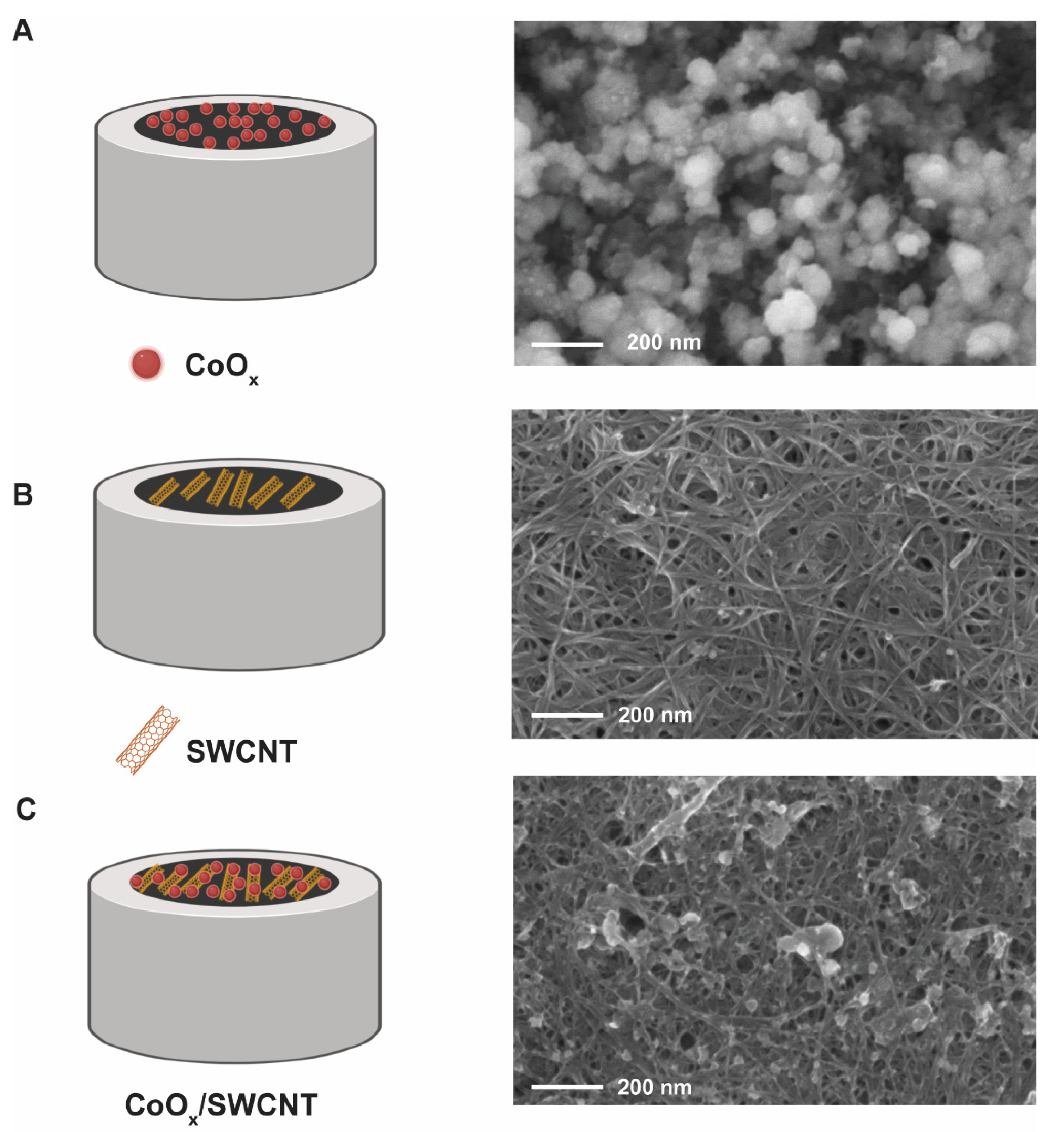 Molecules 27 04078 g002