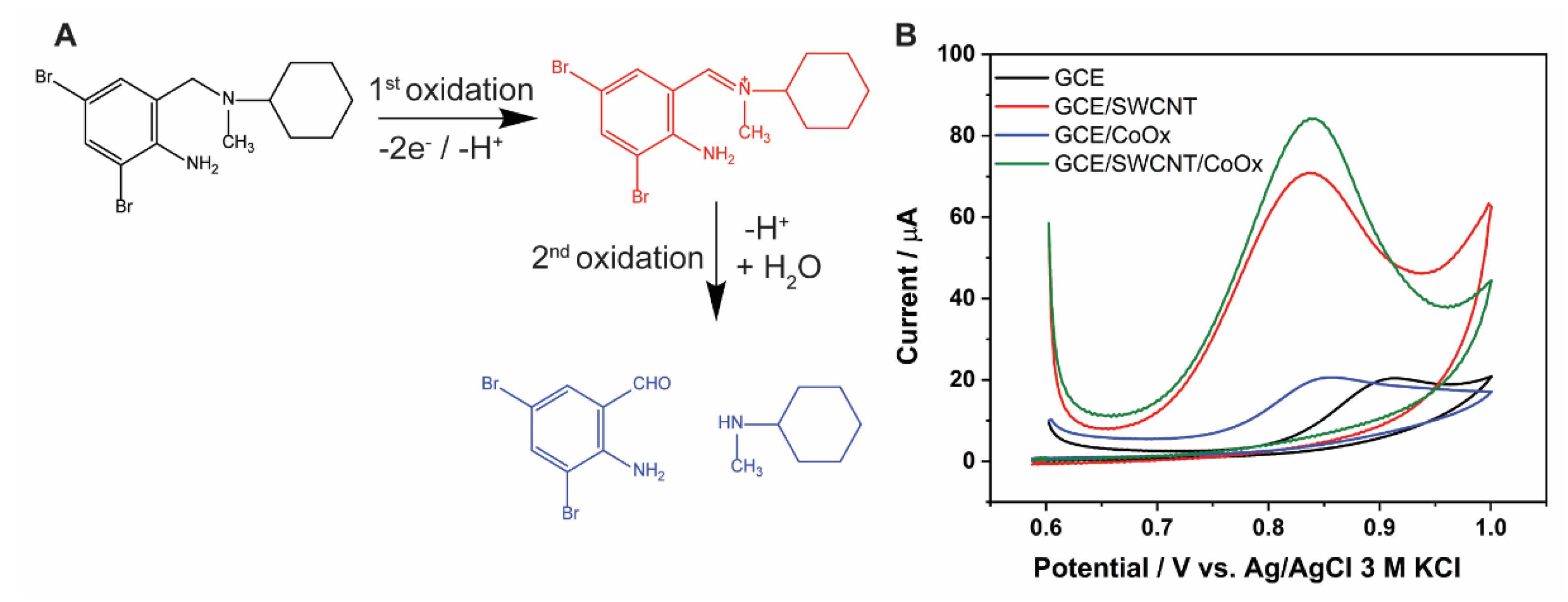 Molecules 27 04078 g004