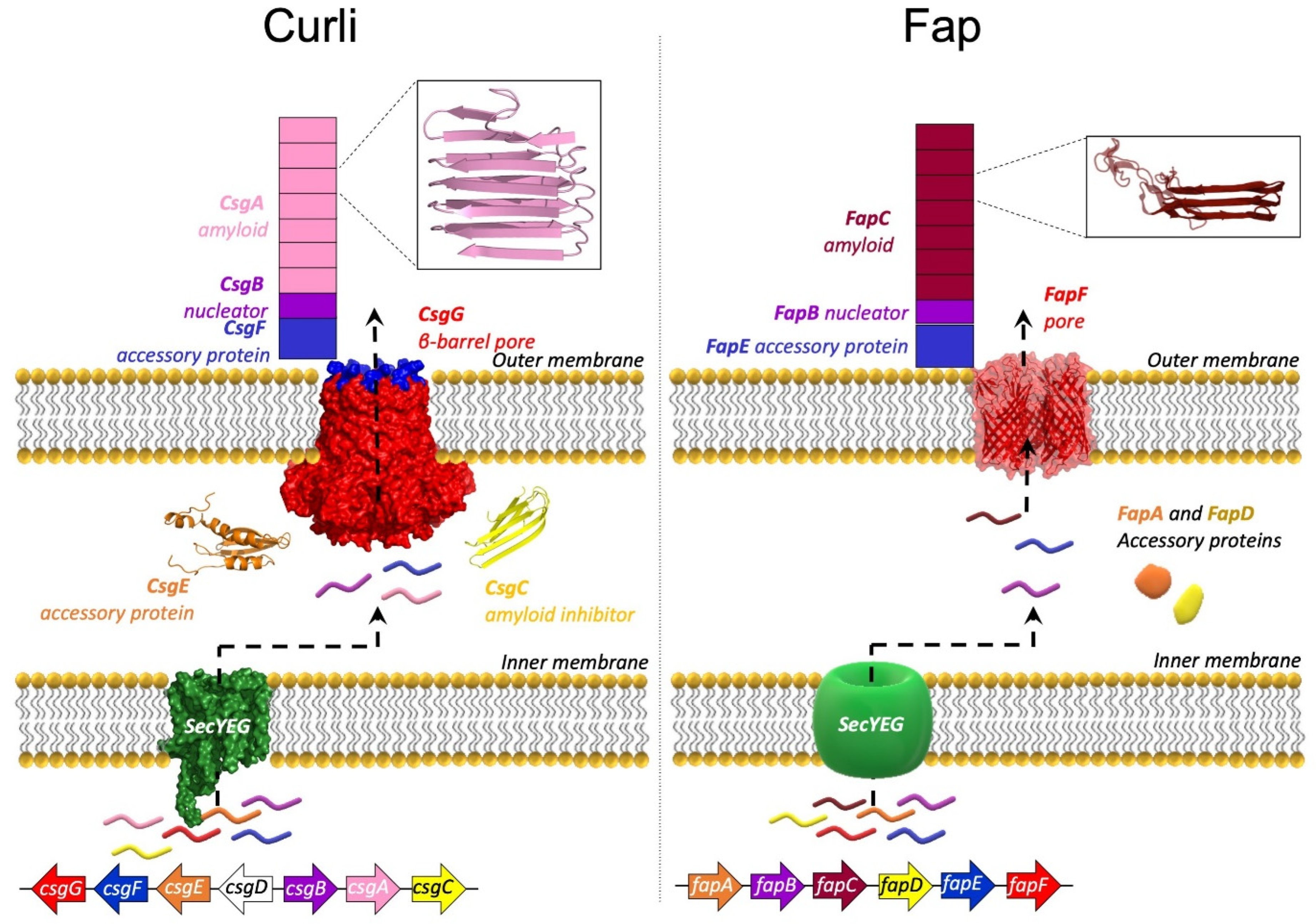 Molecules 27 04080 g002 Molecules 27 04080 g002