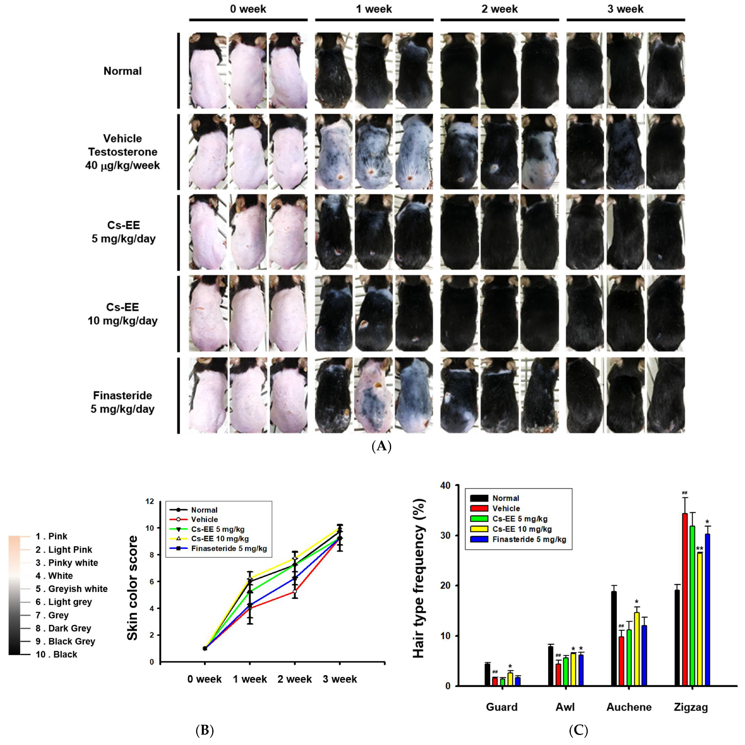 Molecules 27 04086 g002a