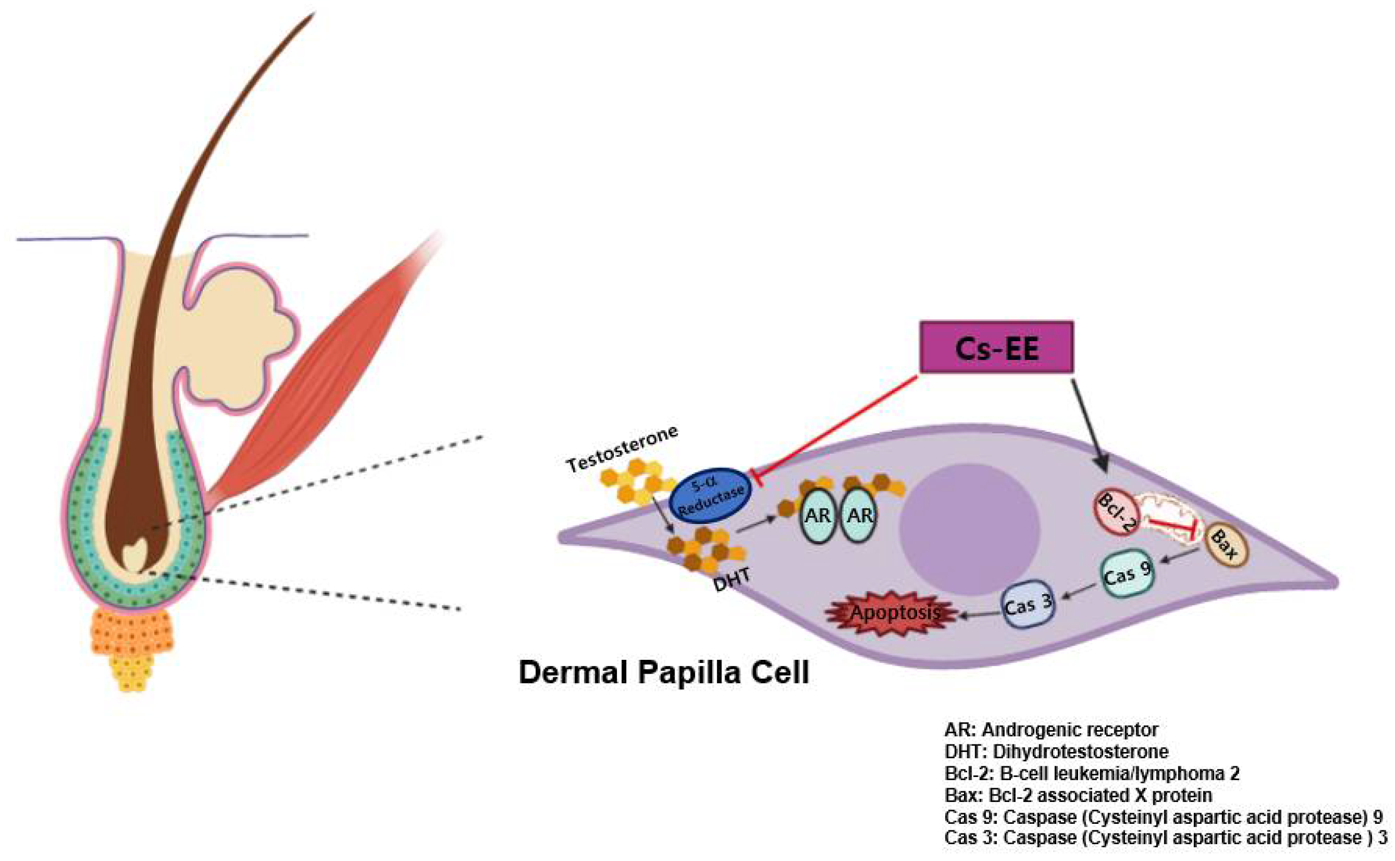 Molecules 27 04086 g008
