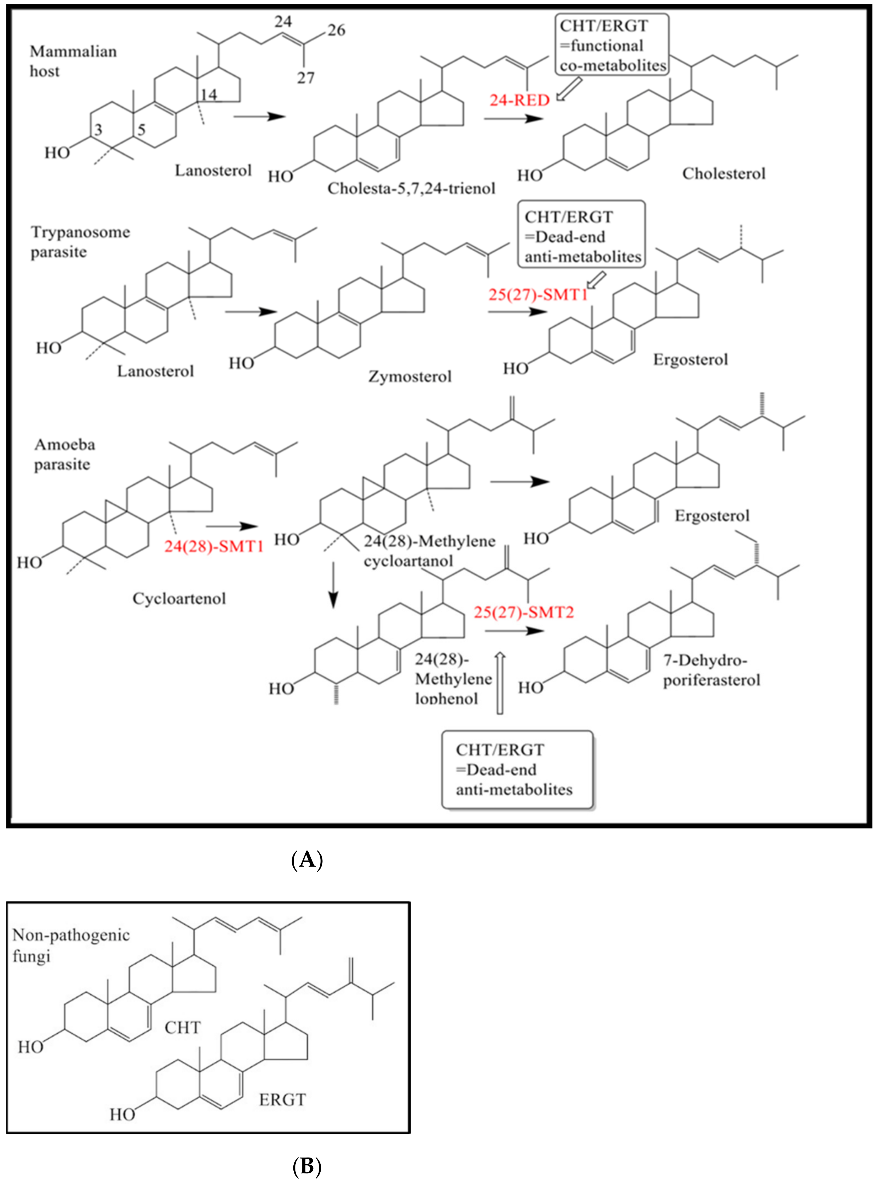 Molecules 27 04088 g001 550