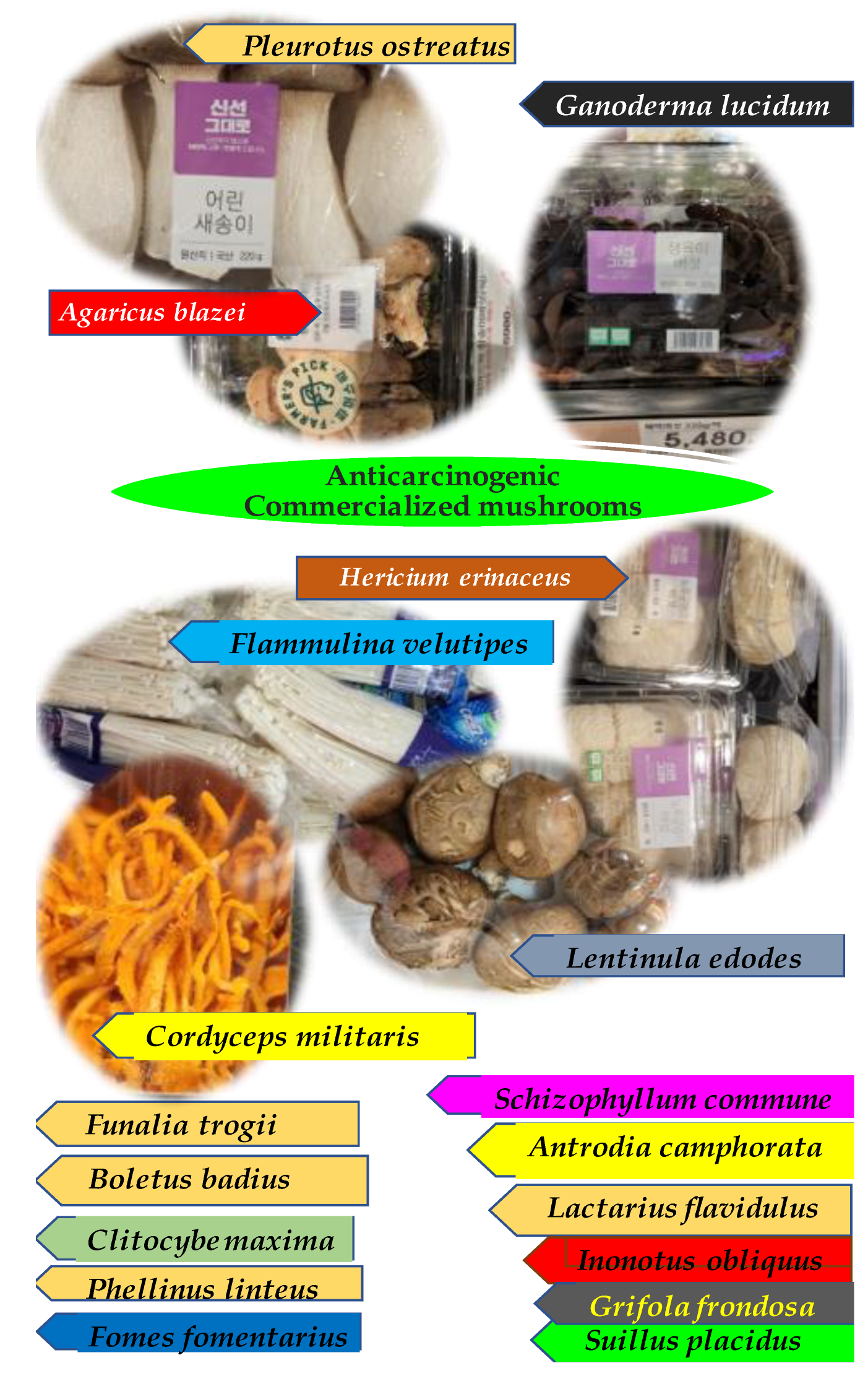Molecules 27 04090 g001 550