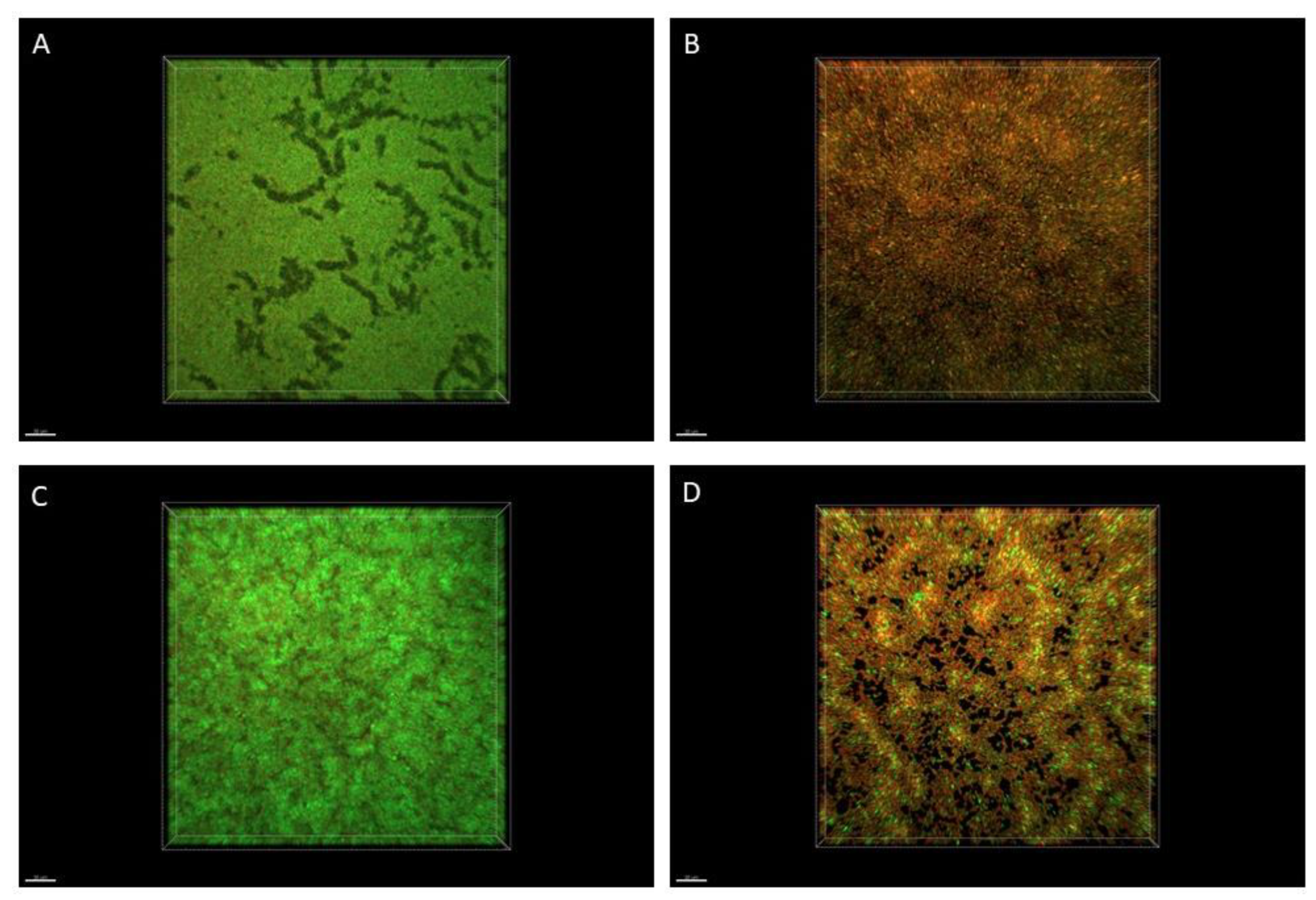 Molecules 27 04096 g003 550