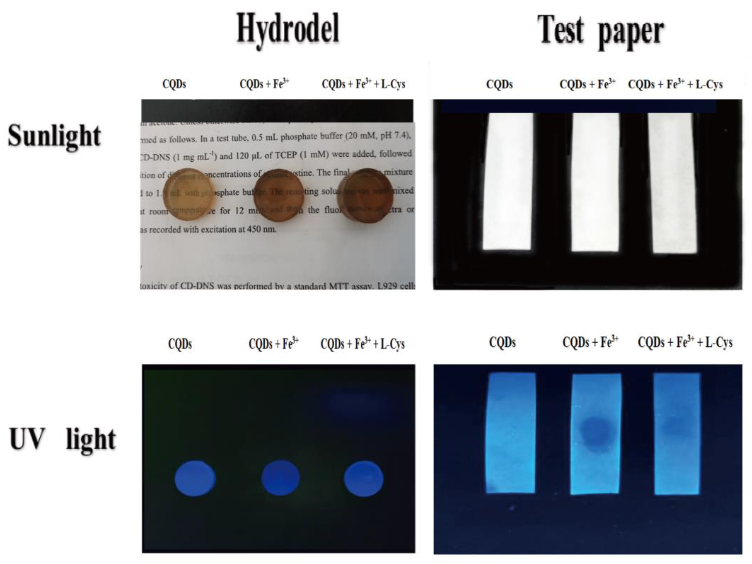 Molecules 27 04099 g005 550