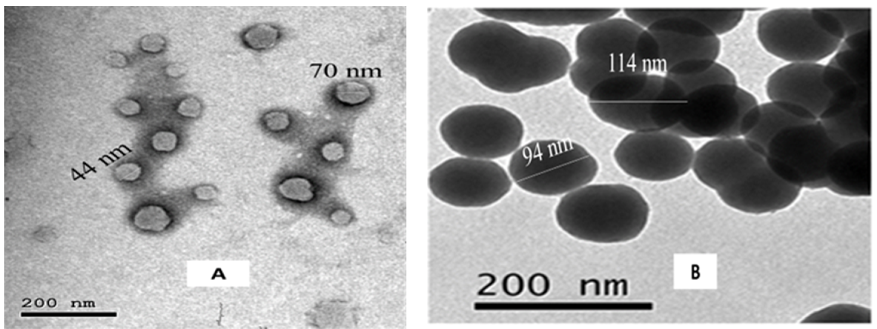 Molecules 27 04102 g003