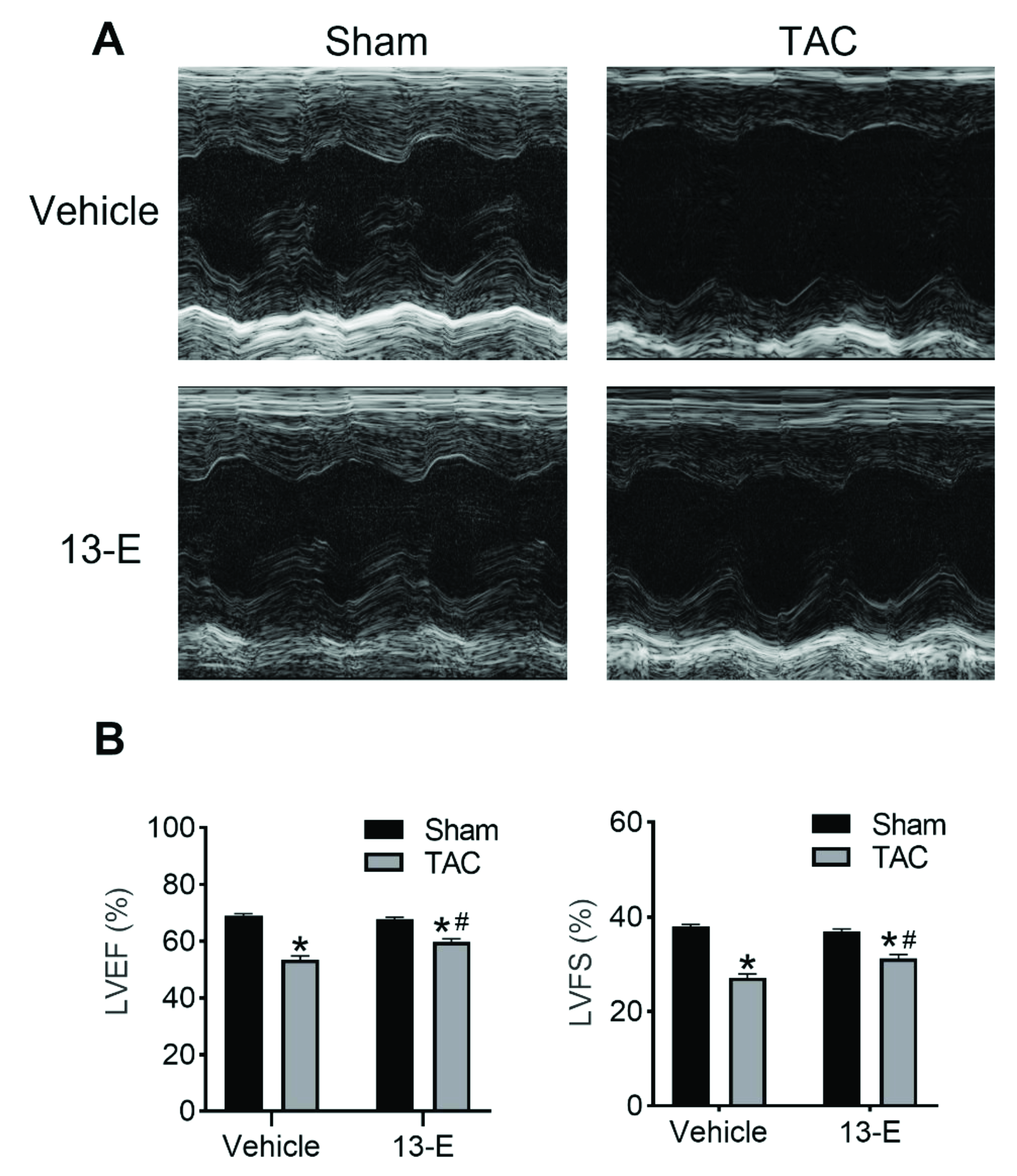 Molecules 27 04114 g004 550