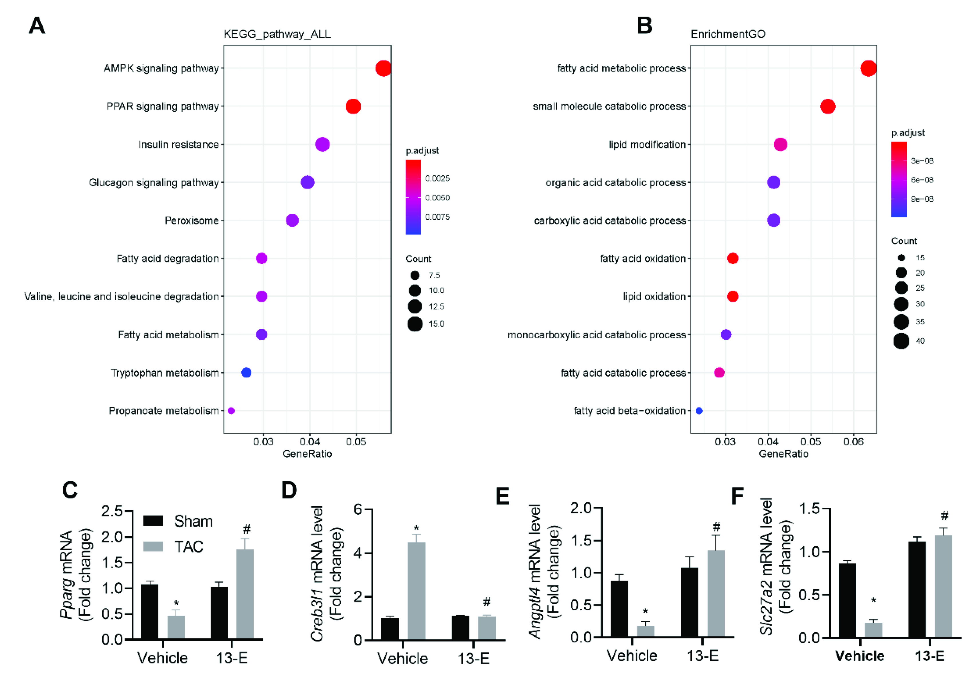 Molecules 27 04114 g007 550