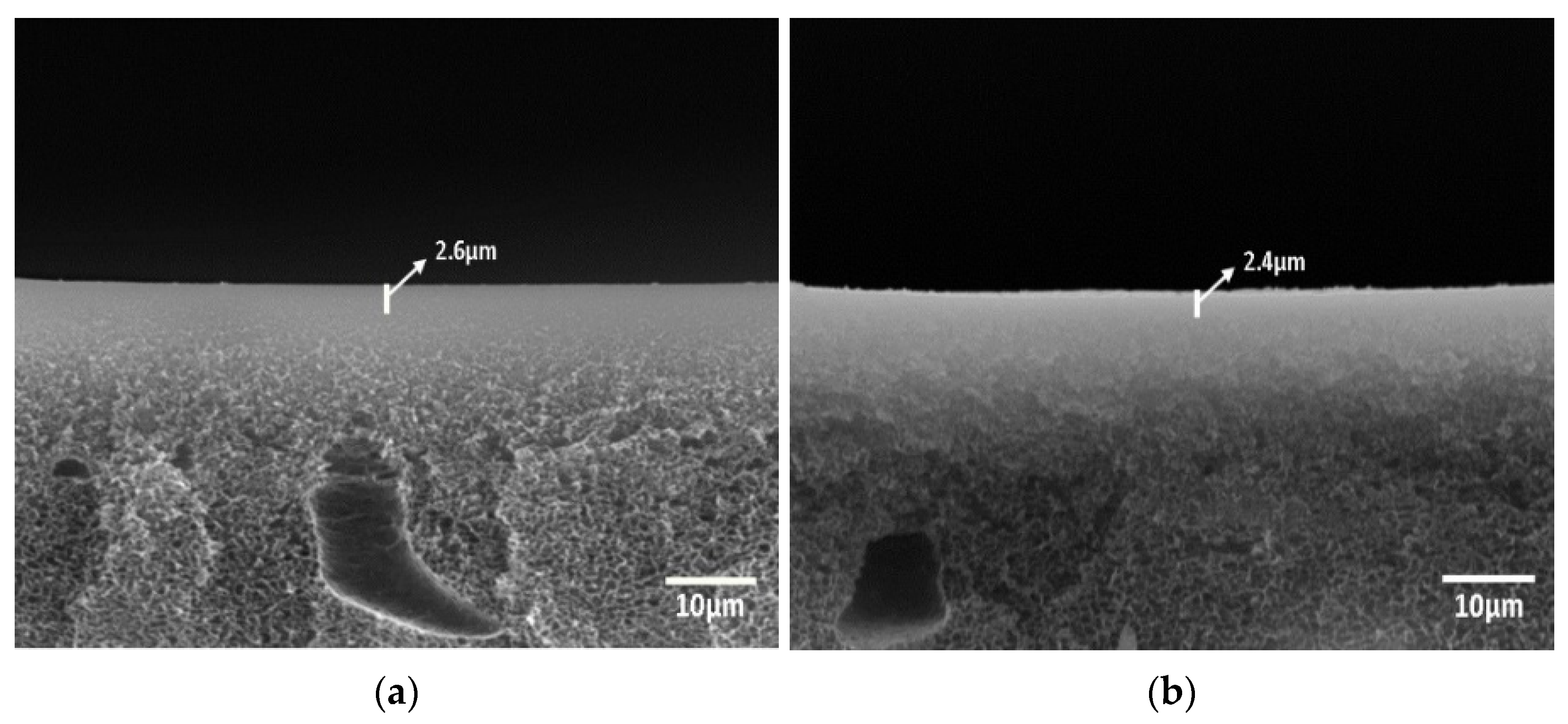 Molecules 27 04122 g001 550
