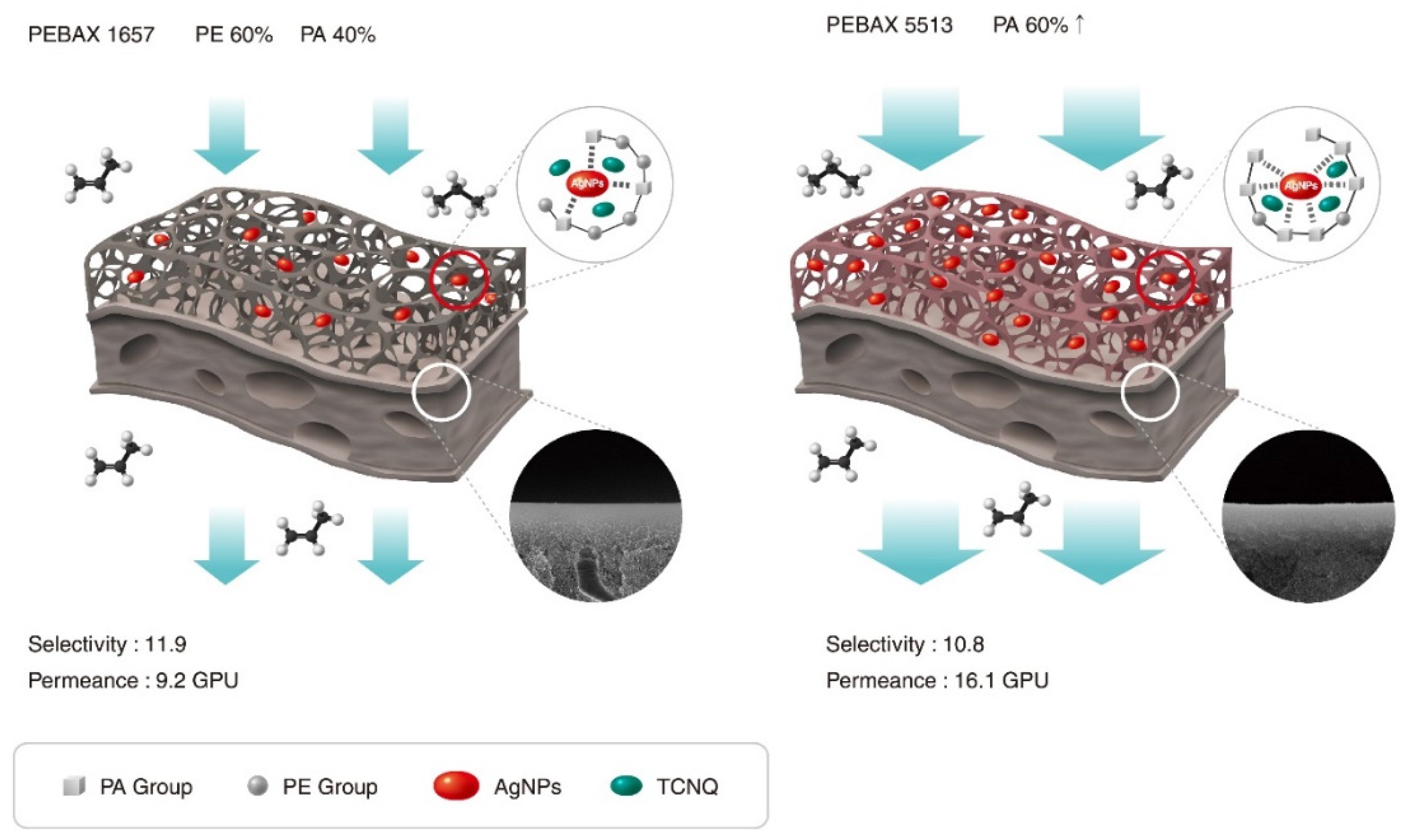 Molecules 27 04122 sch001 550
