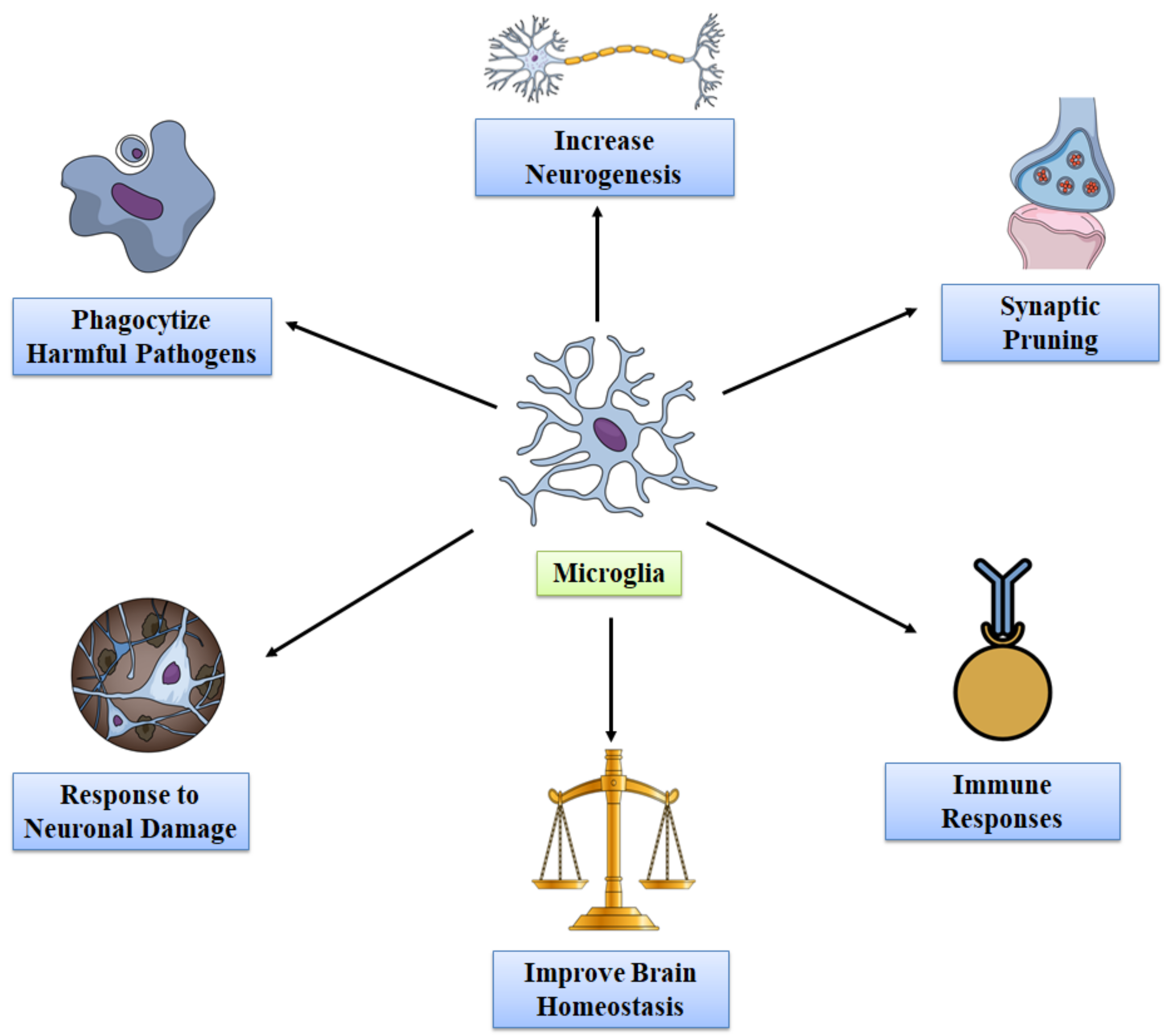 Molecules 27 04124 g002 Molecules 27 04124 g002