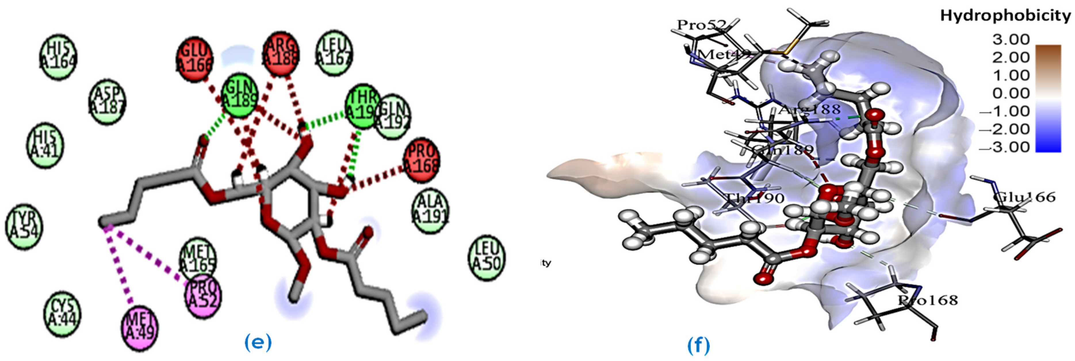 Molecules 27 04125 g006b