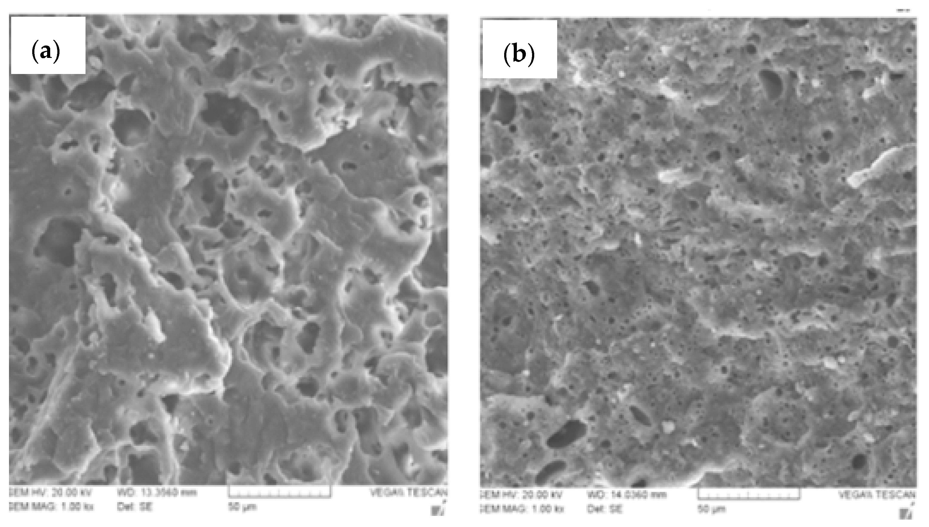 Molecules 27 04135 g007 550