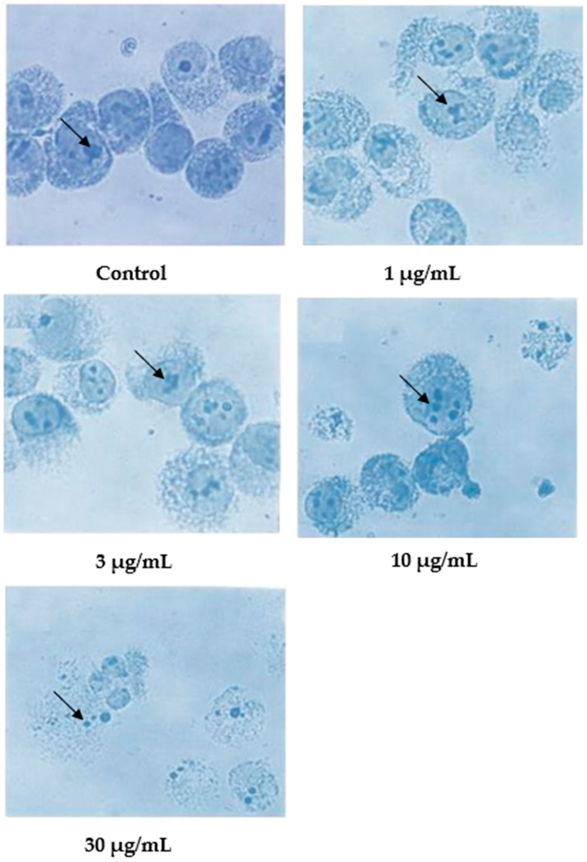 Molecules 27 04136 g004
