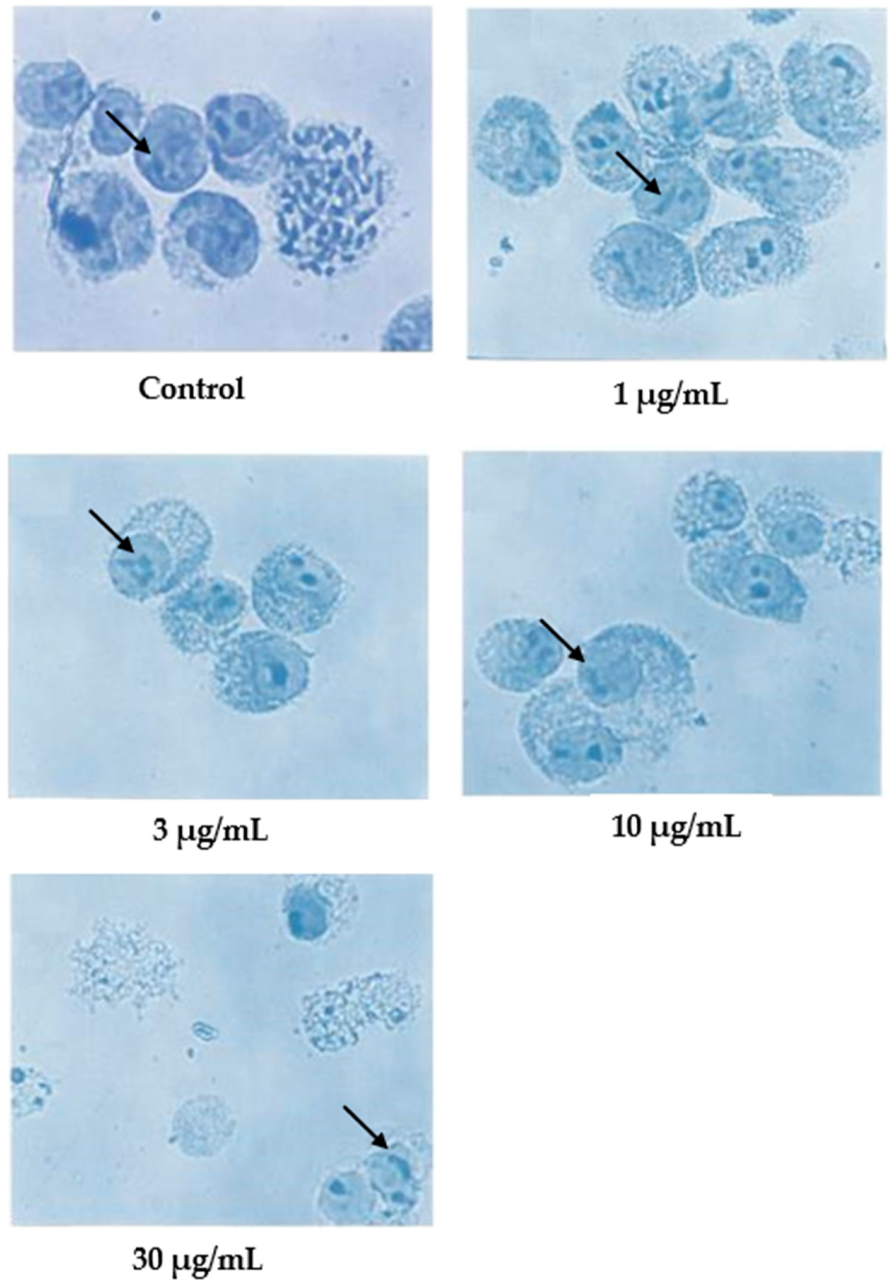 Molecules 27 04136 g005