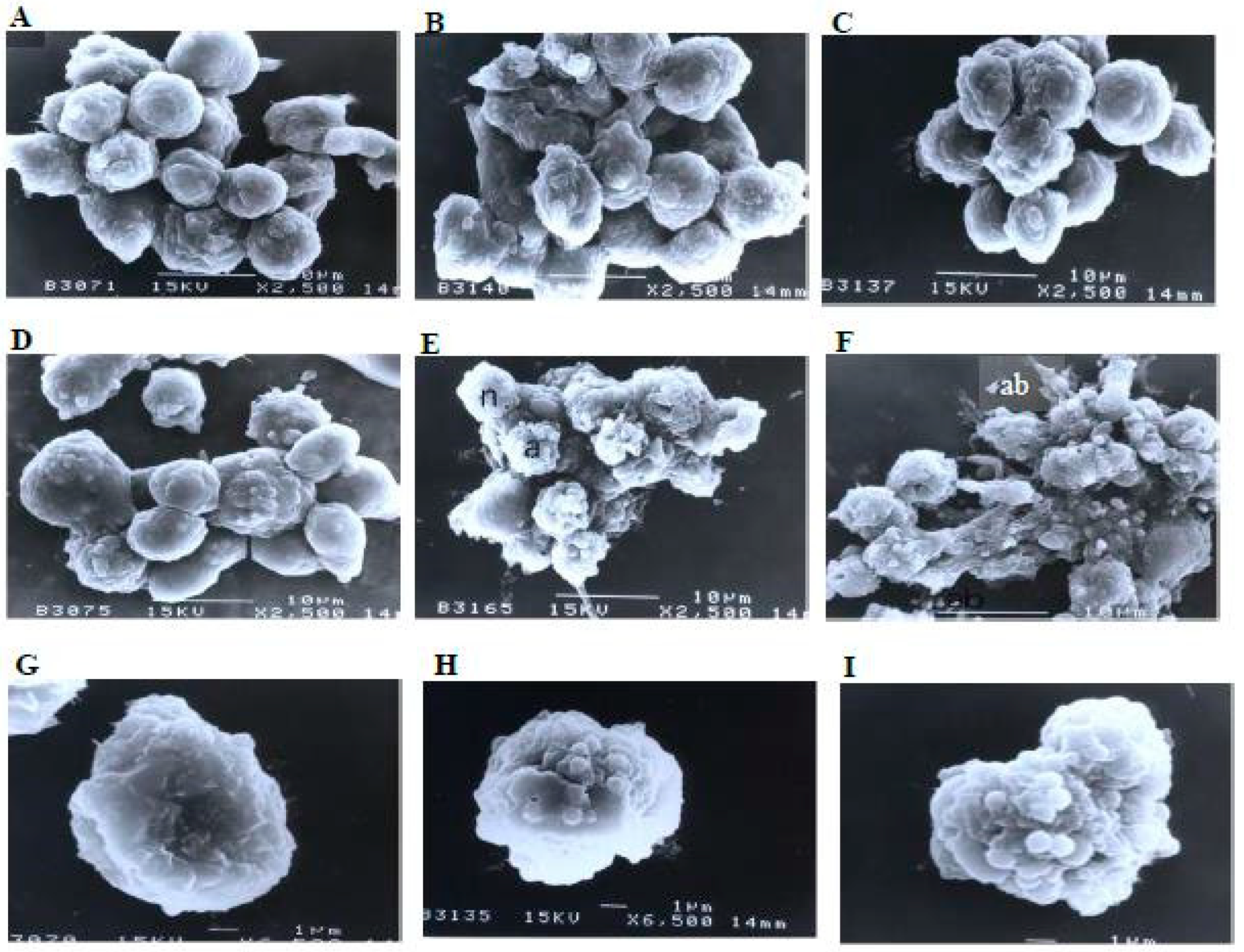 Molecules 27 04136 g008