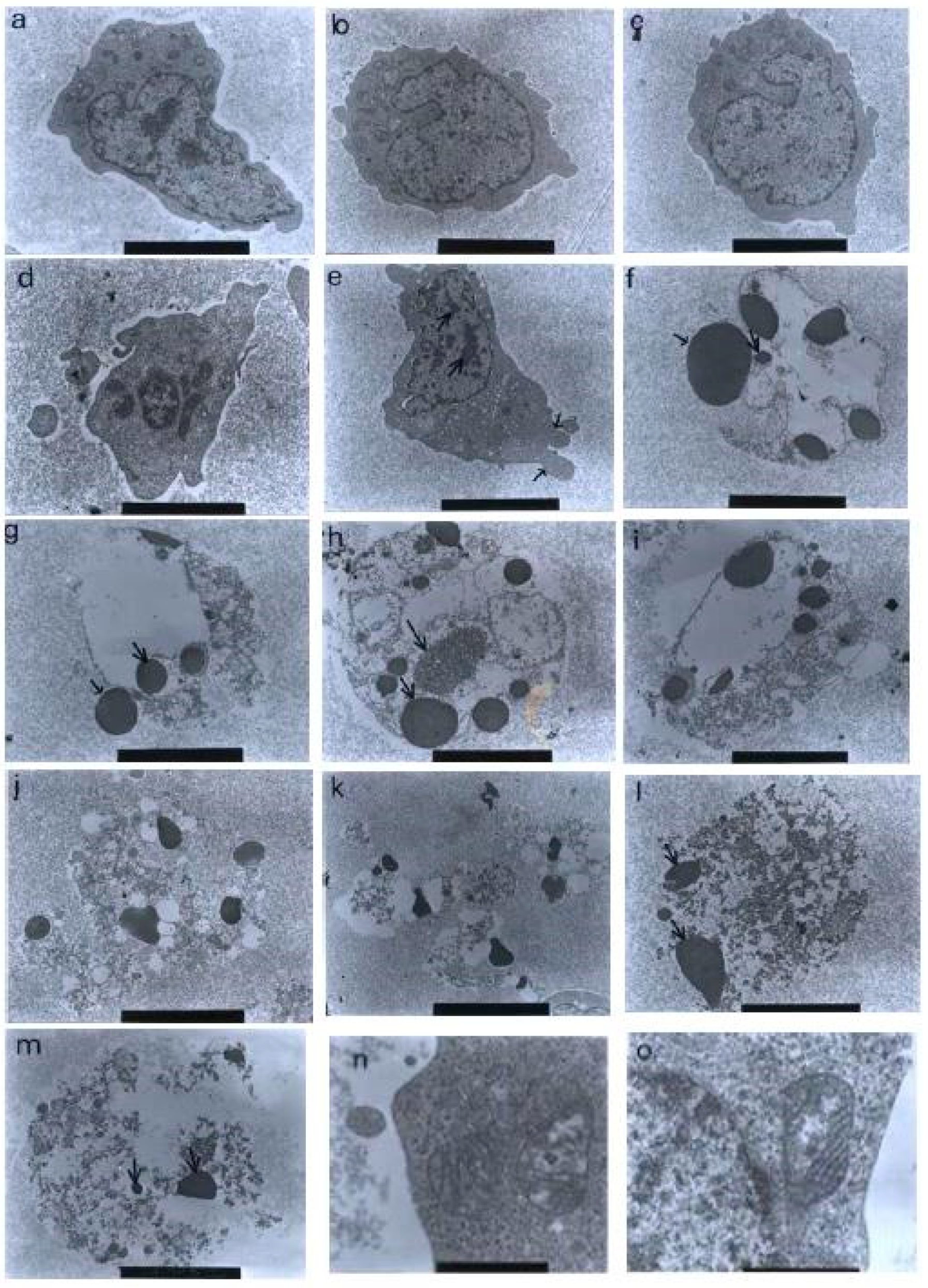 Molecules 27 04136 g010