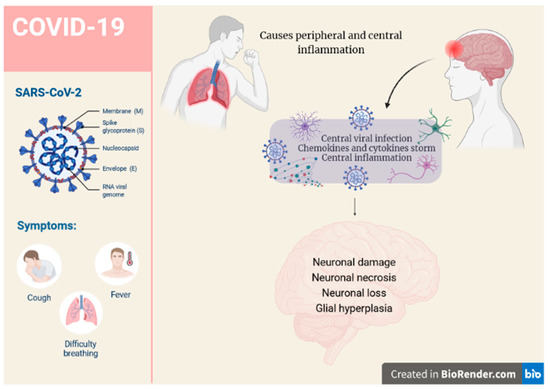 K18- and CAG-hACE2 Transgenic Mouse Models and SARS-CoV-2
