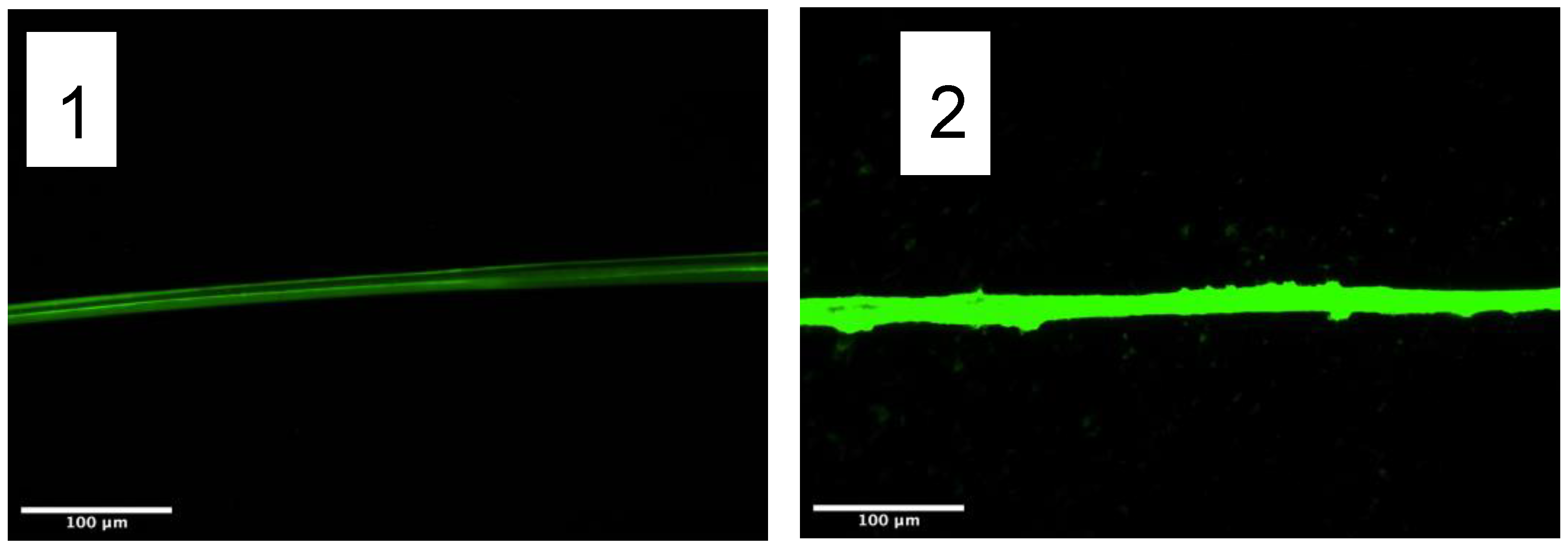 Molecules 27 04146 g002 550