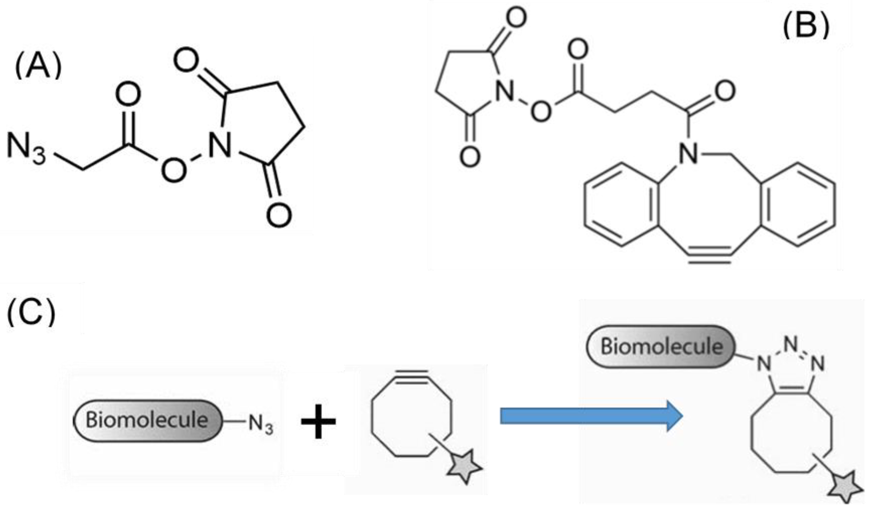 Molecules 27 04146 g003 550