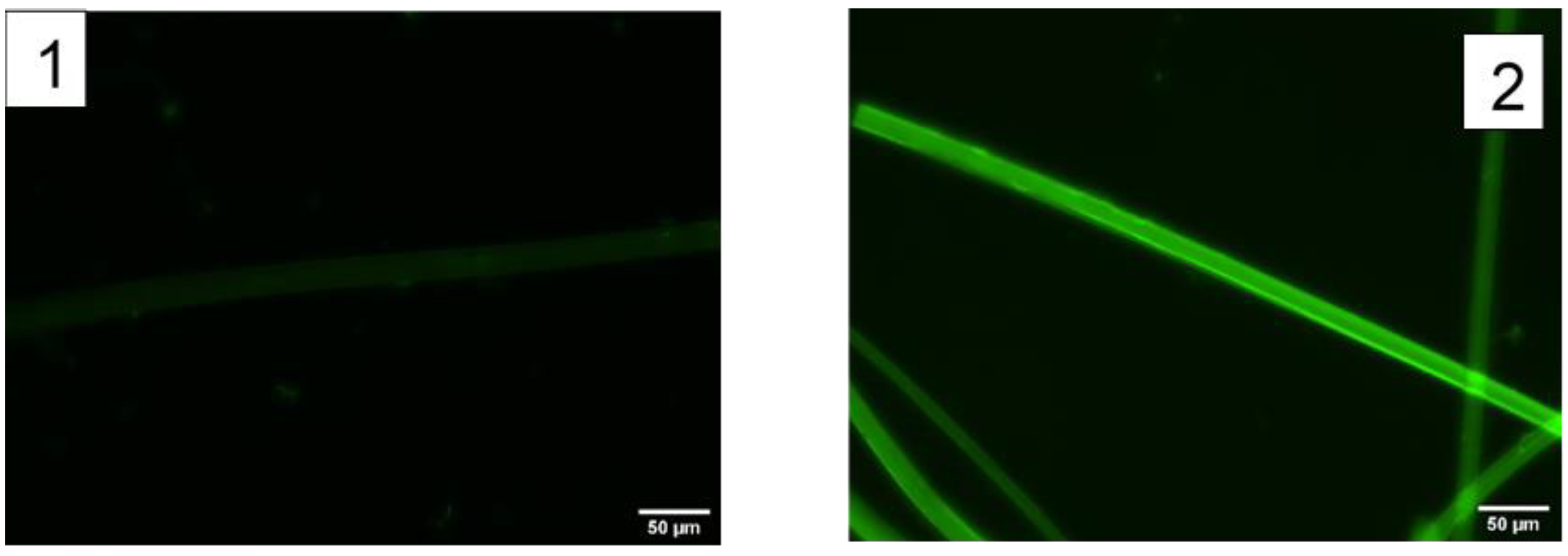 Molecules 27 04146 g005 550