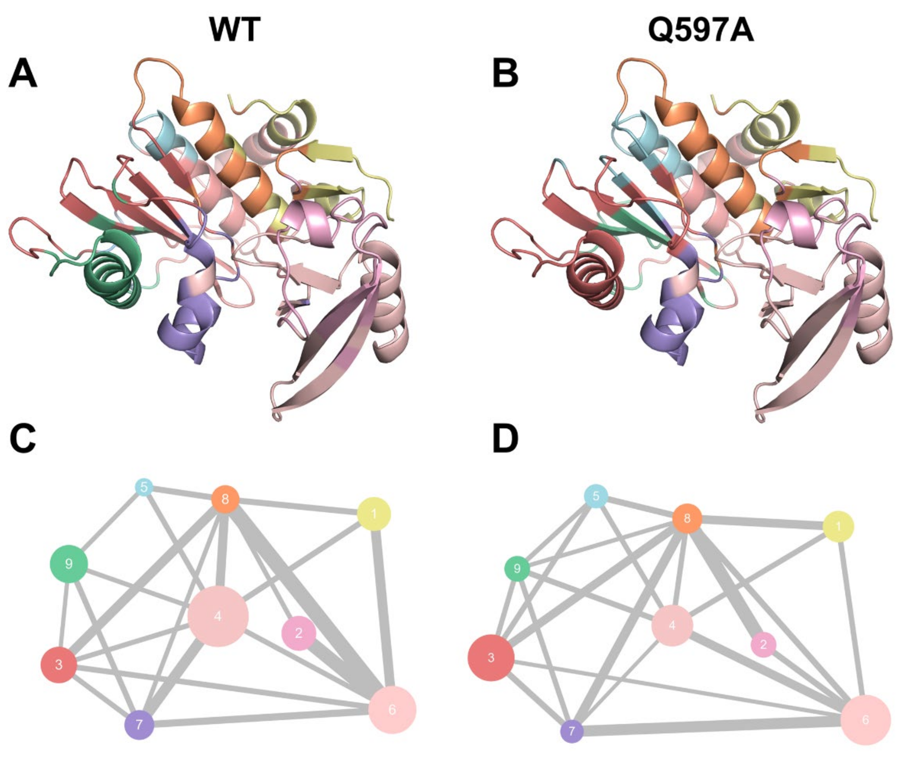 マサダMASSADA/DNA 5in1 アイコントロール TDP-43 and PINK1 mediate CHCHD10S59L mutation–induced
